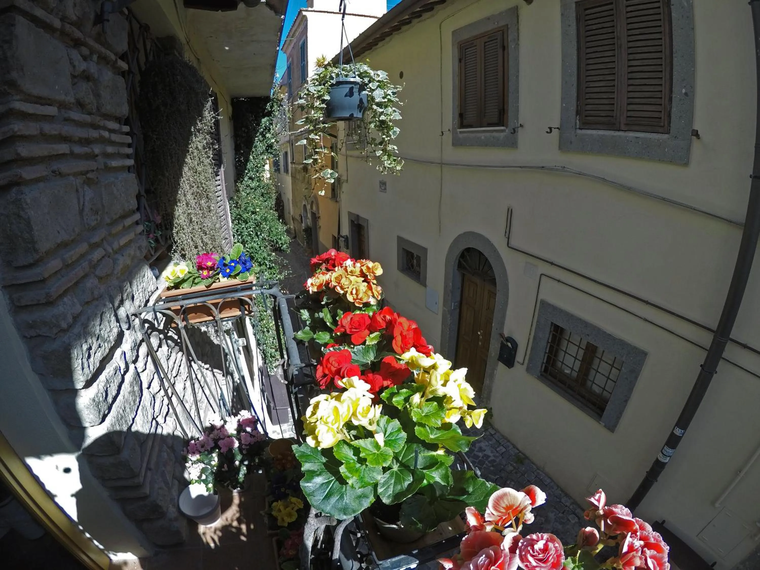 Bird's eye view in Atlantis Inn Castelgandolfo