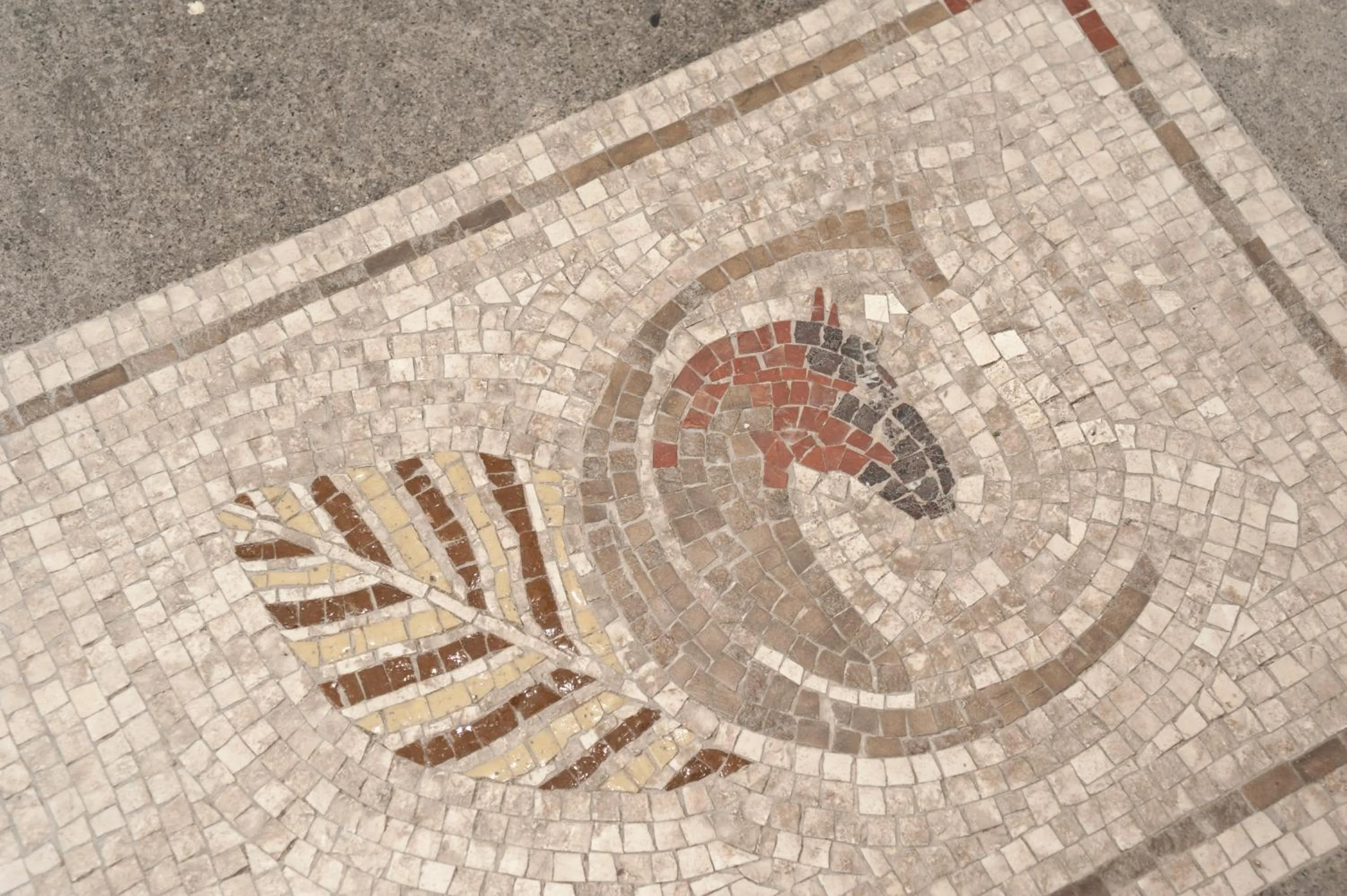 Property logo or sign in Atlantis Inn Castelgandolfo