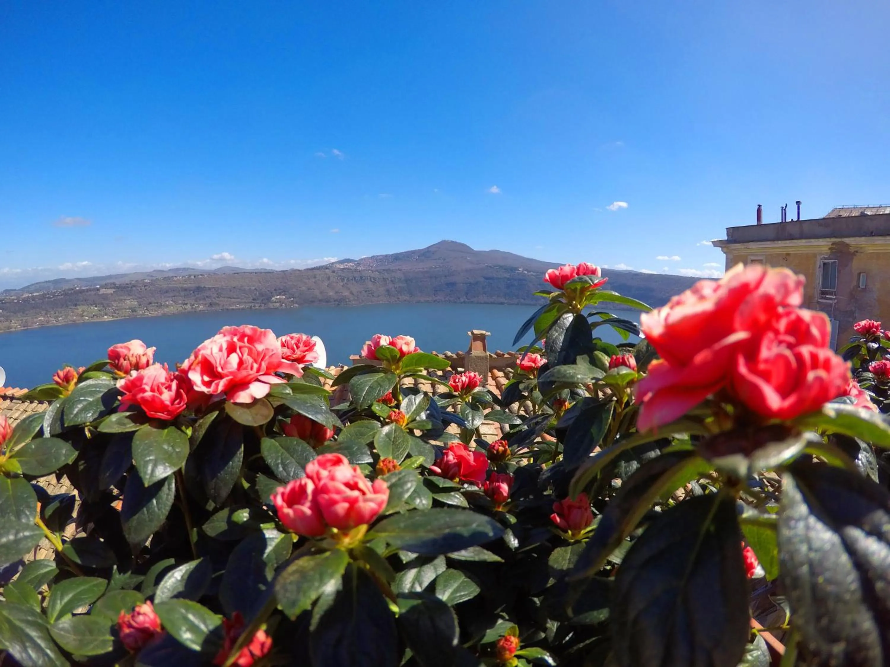 Photo of the whole room in Atlantis Inn Castelgandolfo