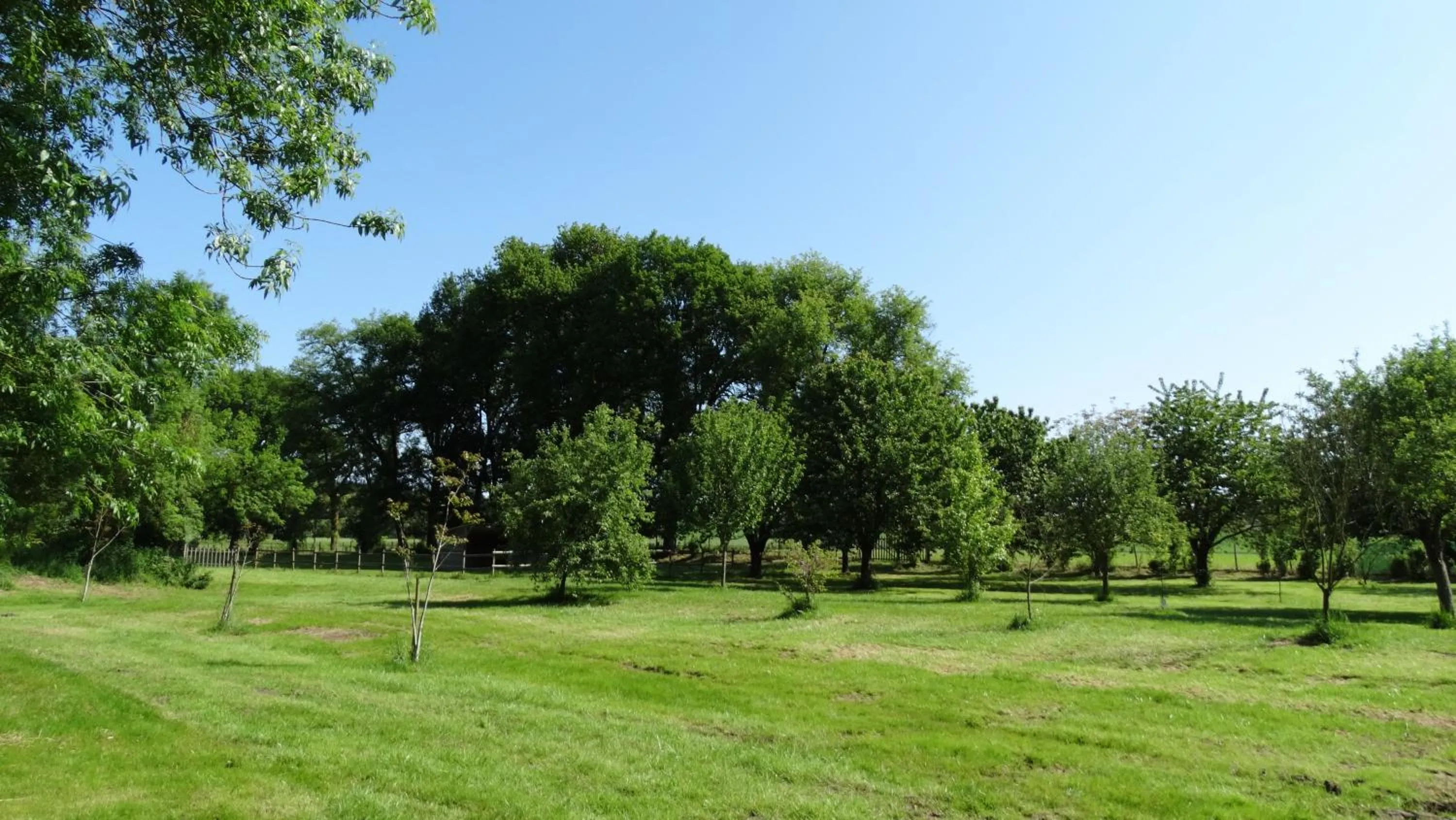 Garden view in Moulin de reigner