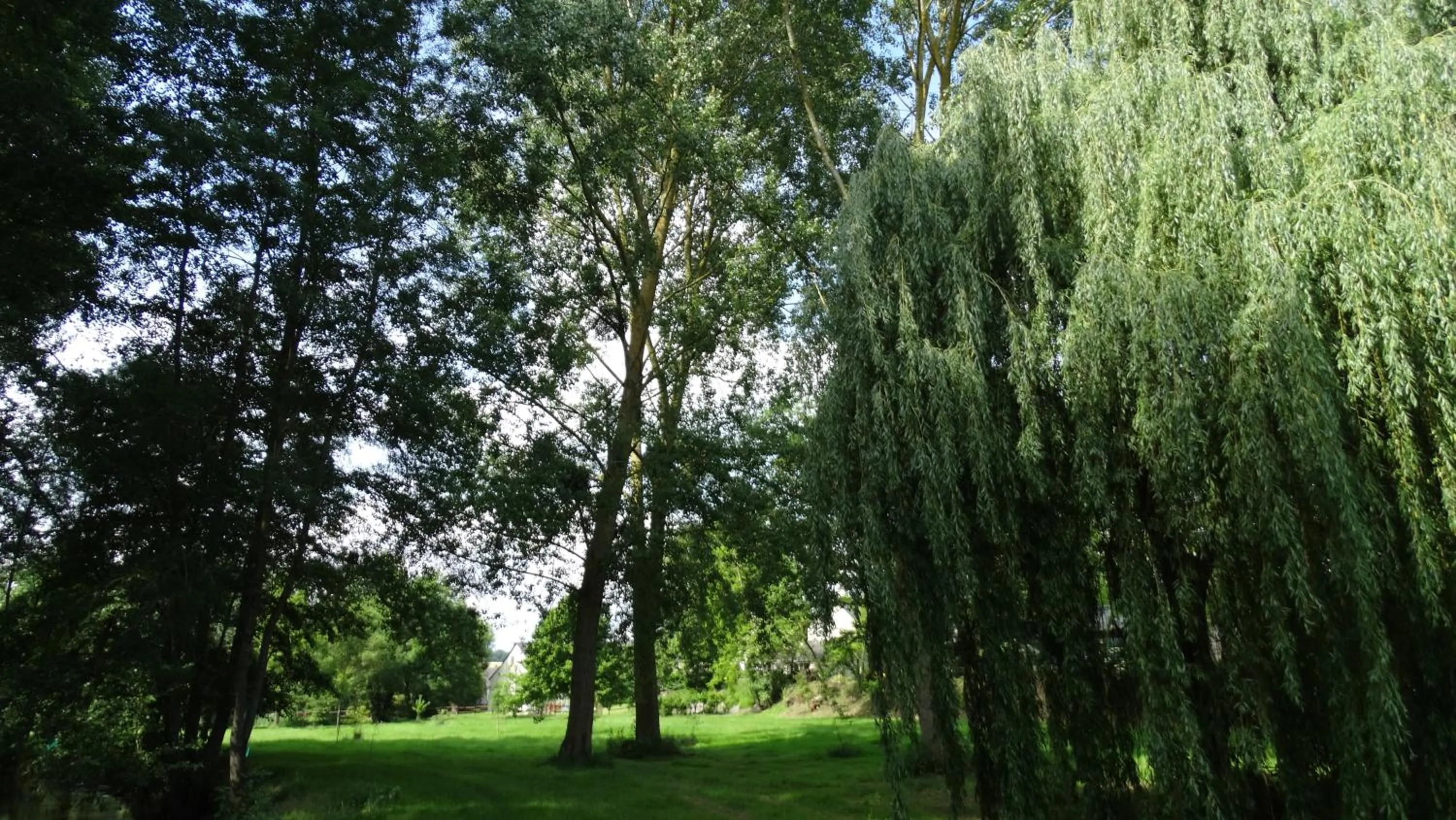 Garden view in Moulin de reigner