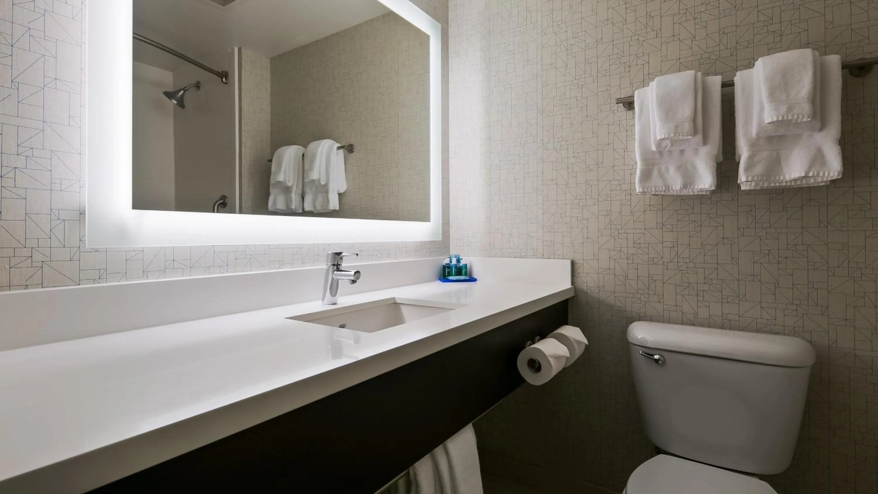 Bathroom in Holiday Inn Express Hotel & Suites Everett by IHG
