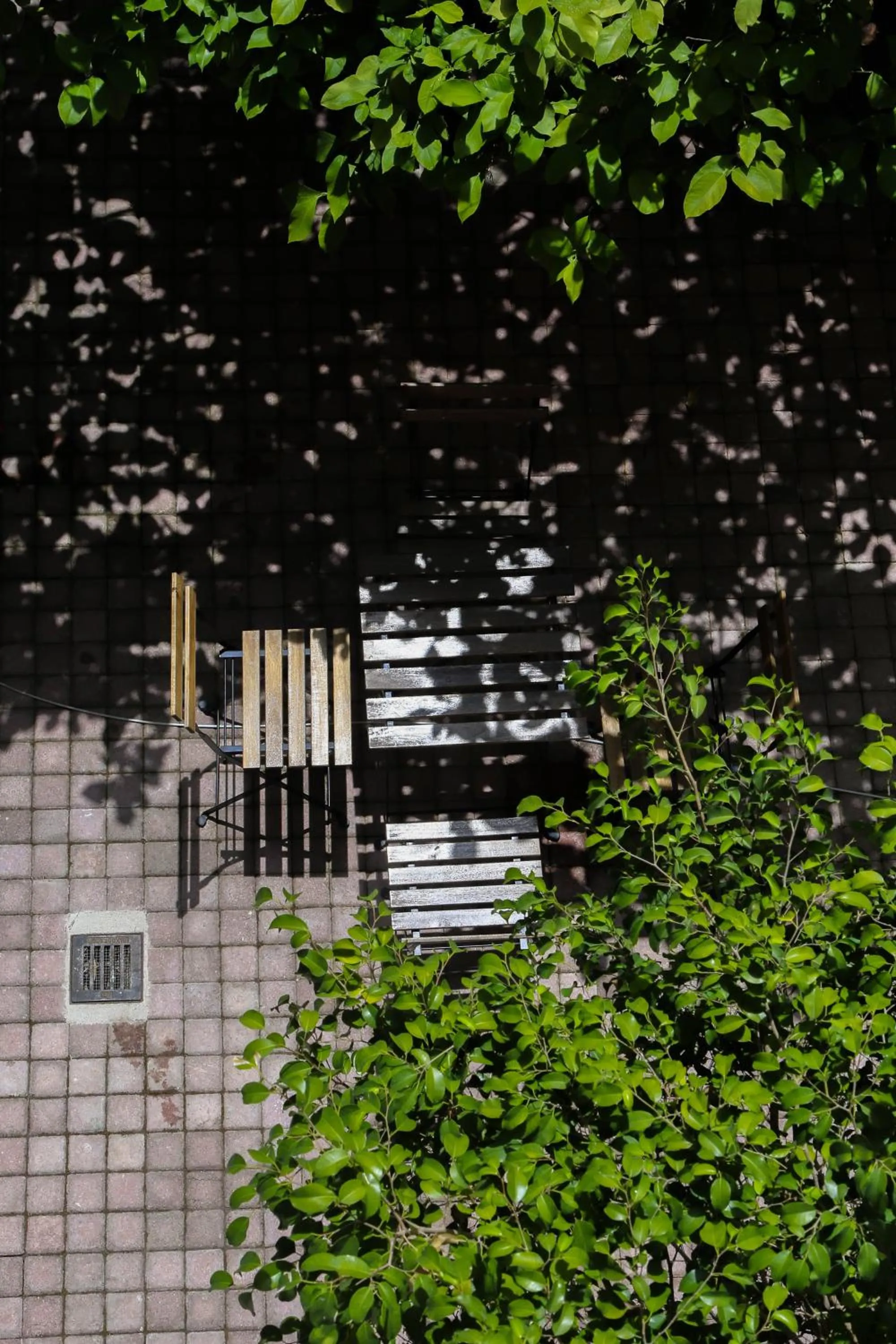 Spring in The Koukaki Residence