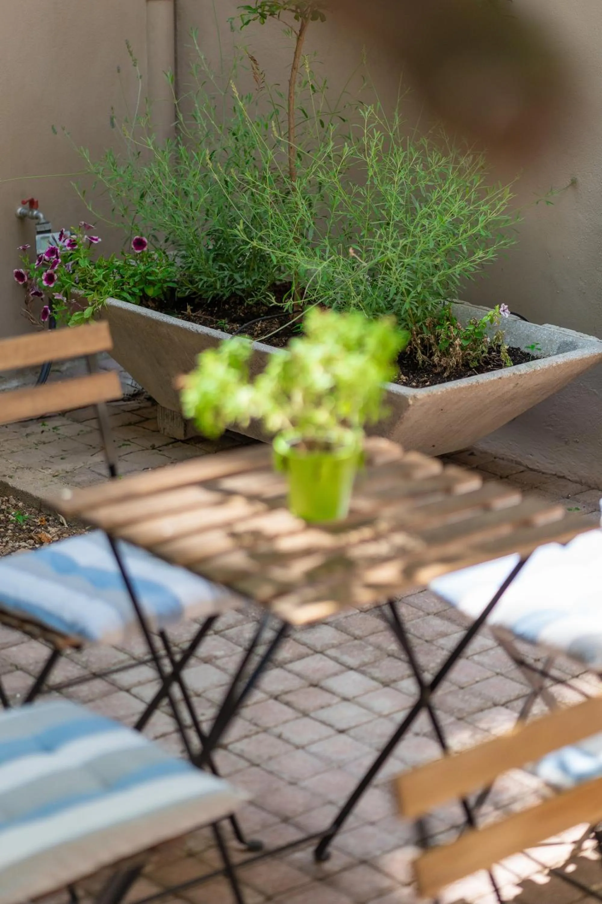 Garden in The Koukaki Residence