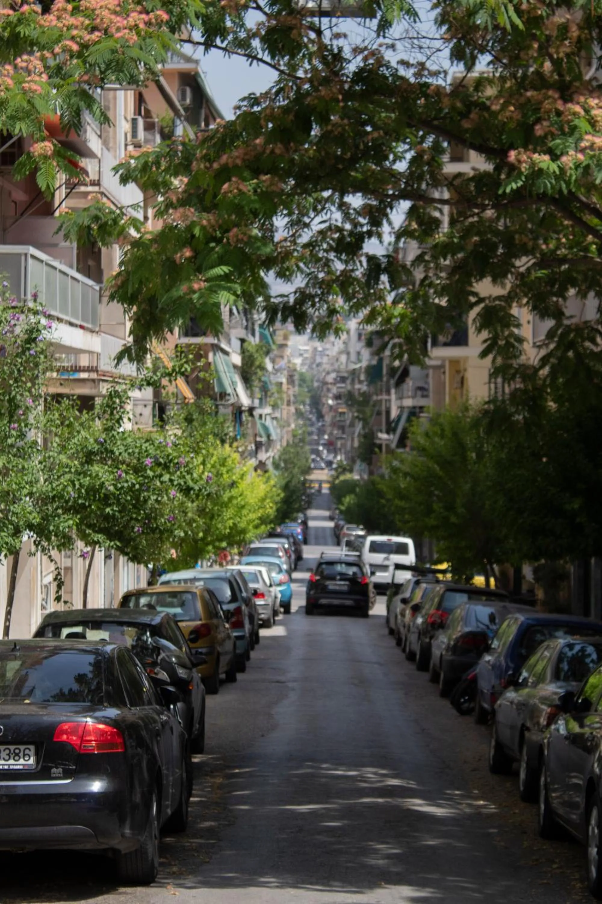 Day in The Koukaki Residence