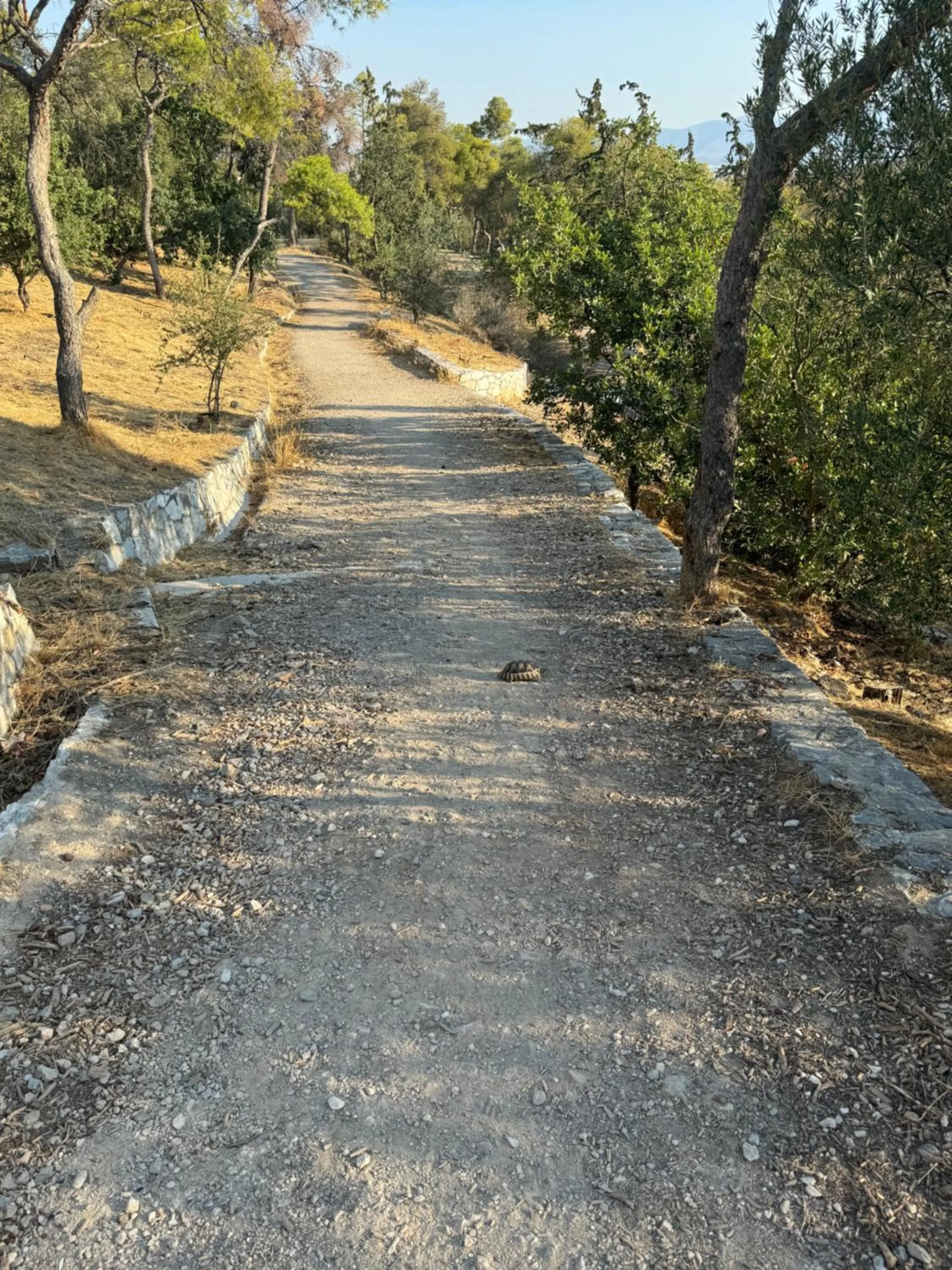 Neighbourhood in The Koukaki Residence