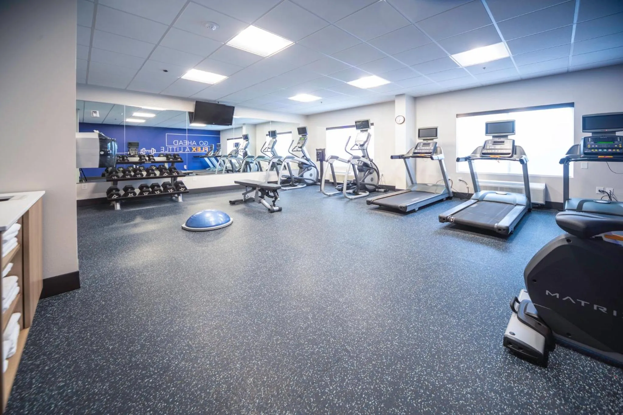 Fitness centre/facilities in Holiday Inn Express and Suites Atlanta-Johns Creek by IHG