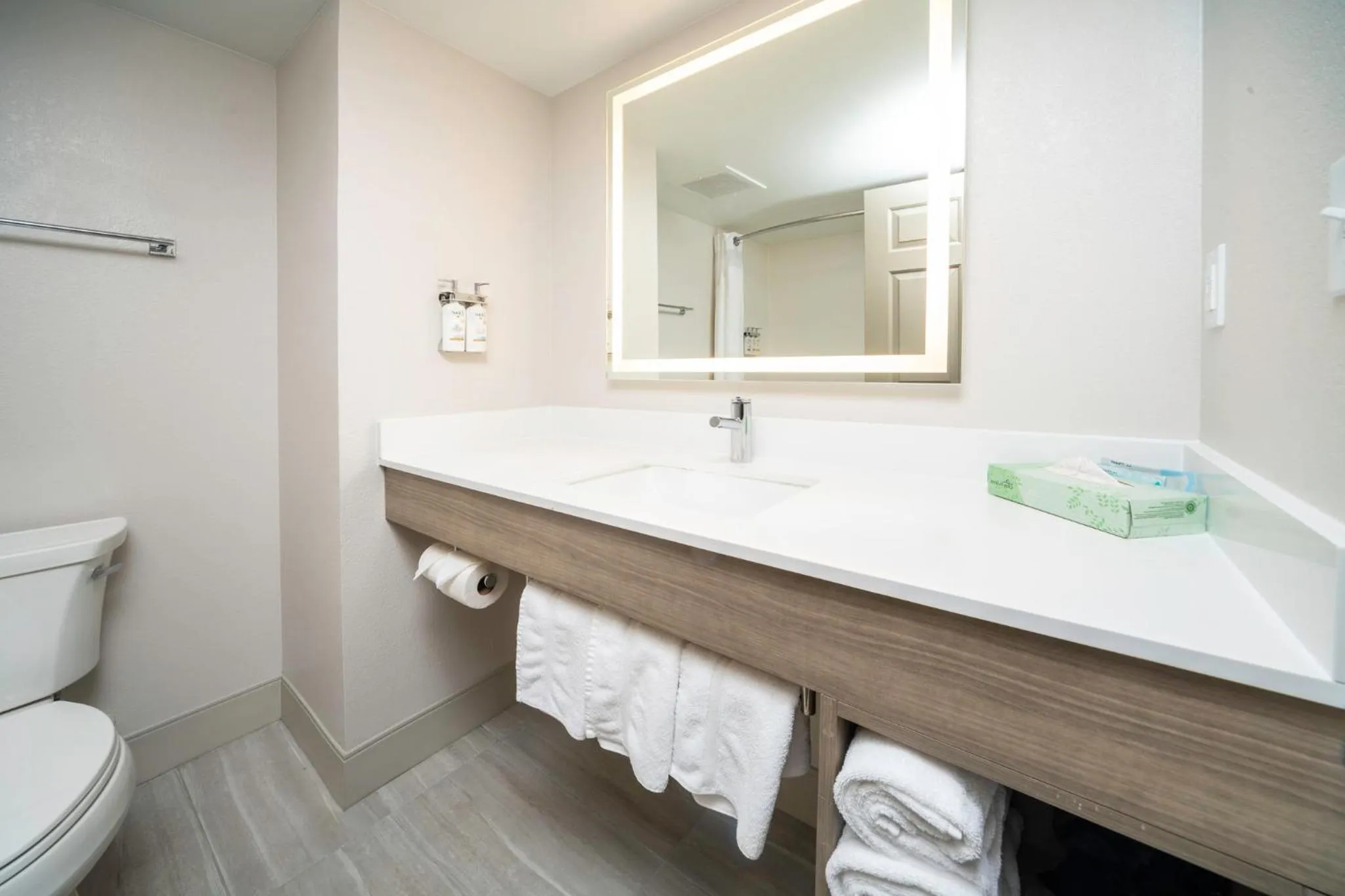 Bathroom in Holiday Inn Express and Suites Atlanta-Johns Creek by IHG