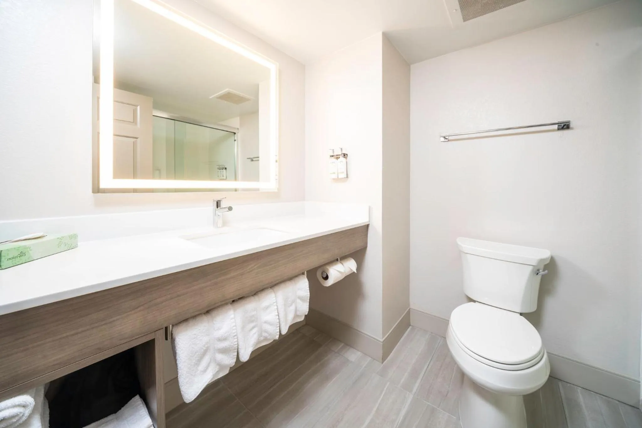 Bathroom in Holiday Inn Express and Suites Atlanta-Johns Creek by IHG