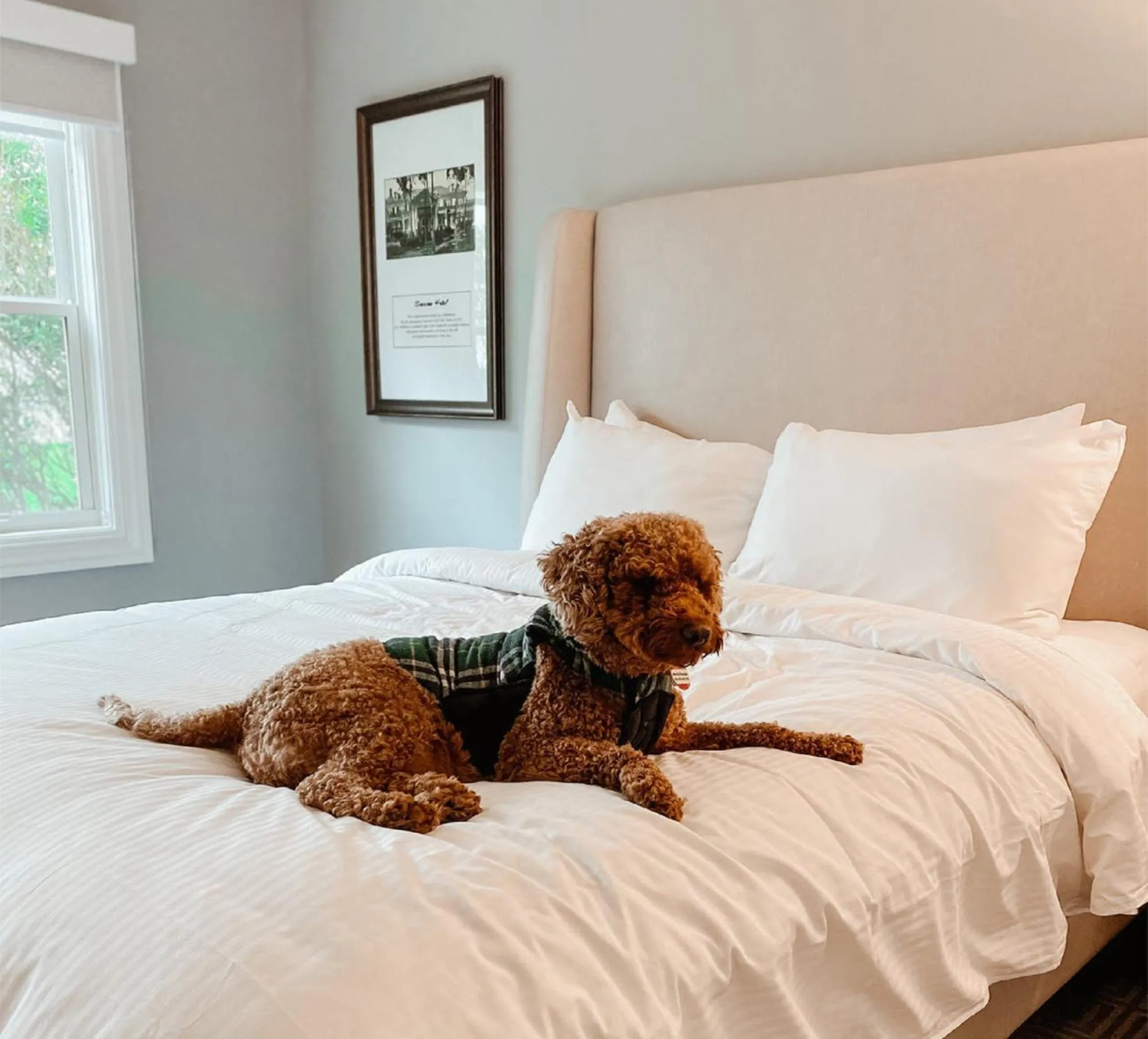Bedroom, Bed in Seaview, A Dolce Hotel