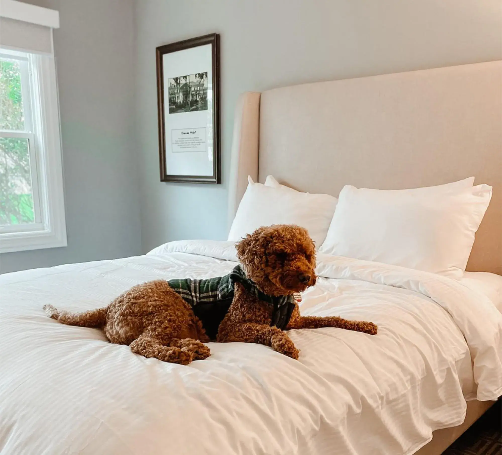 Deluxe King Room - Accessible in Seaview, A Dolce Hotel Deluxe King Room - Accessible in Seaview, A Dolce Hotel