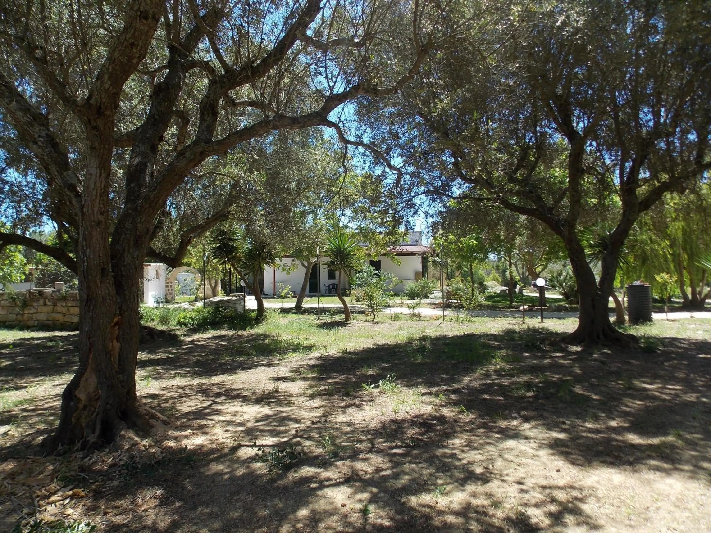 Day in Agriturismo Le Tagliate