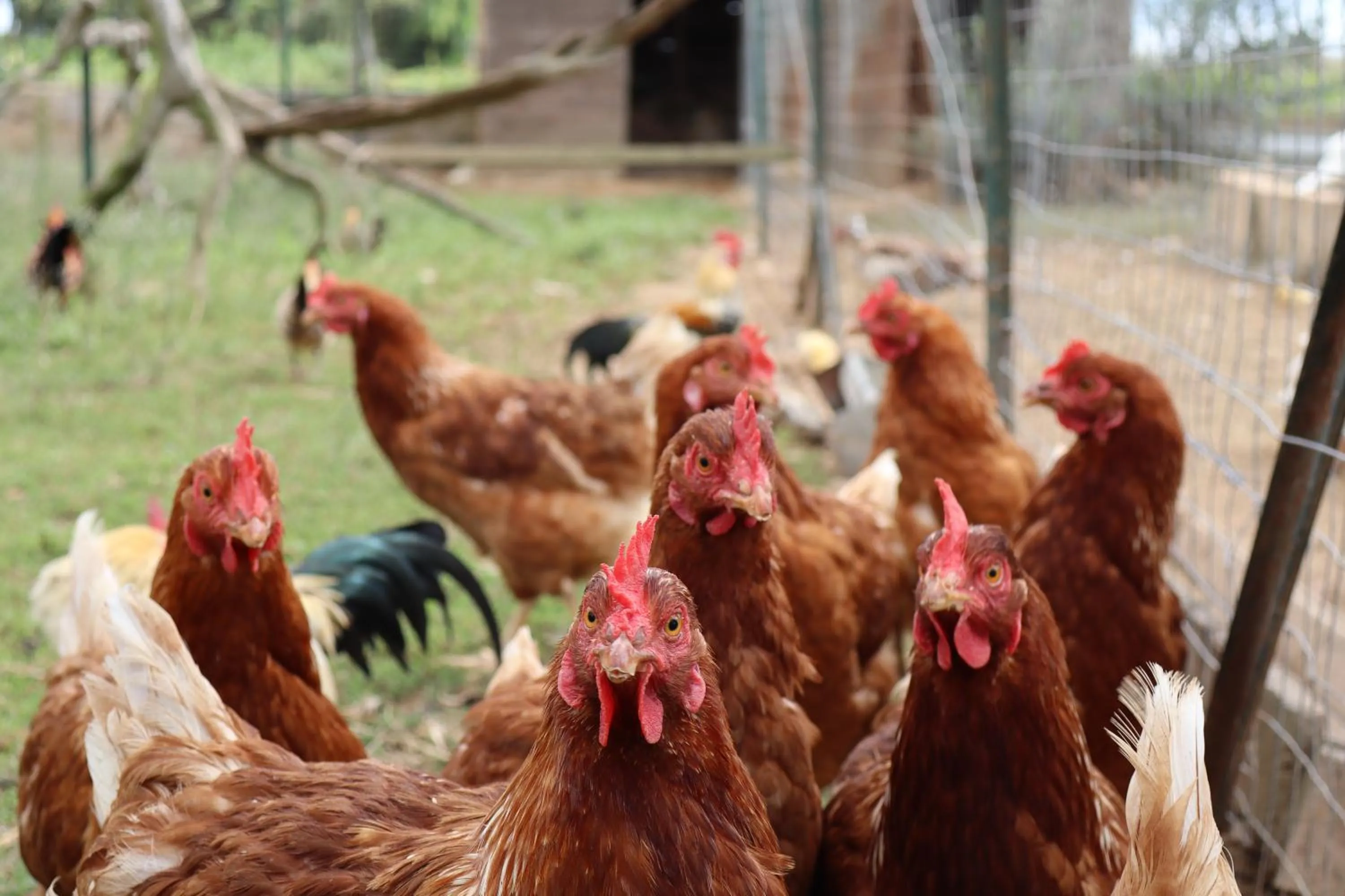Agriturismo Le Tagliate