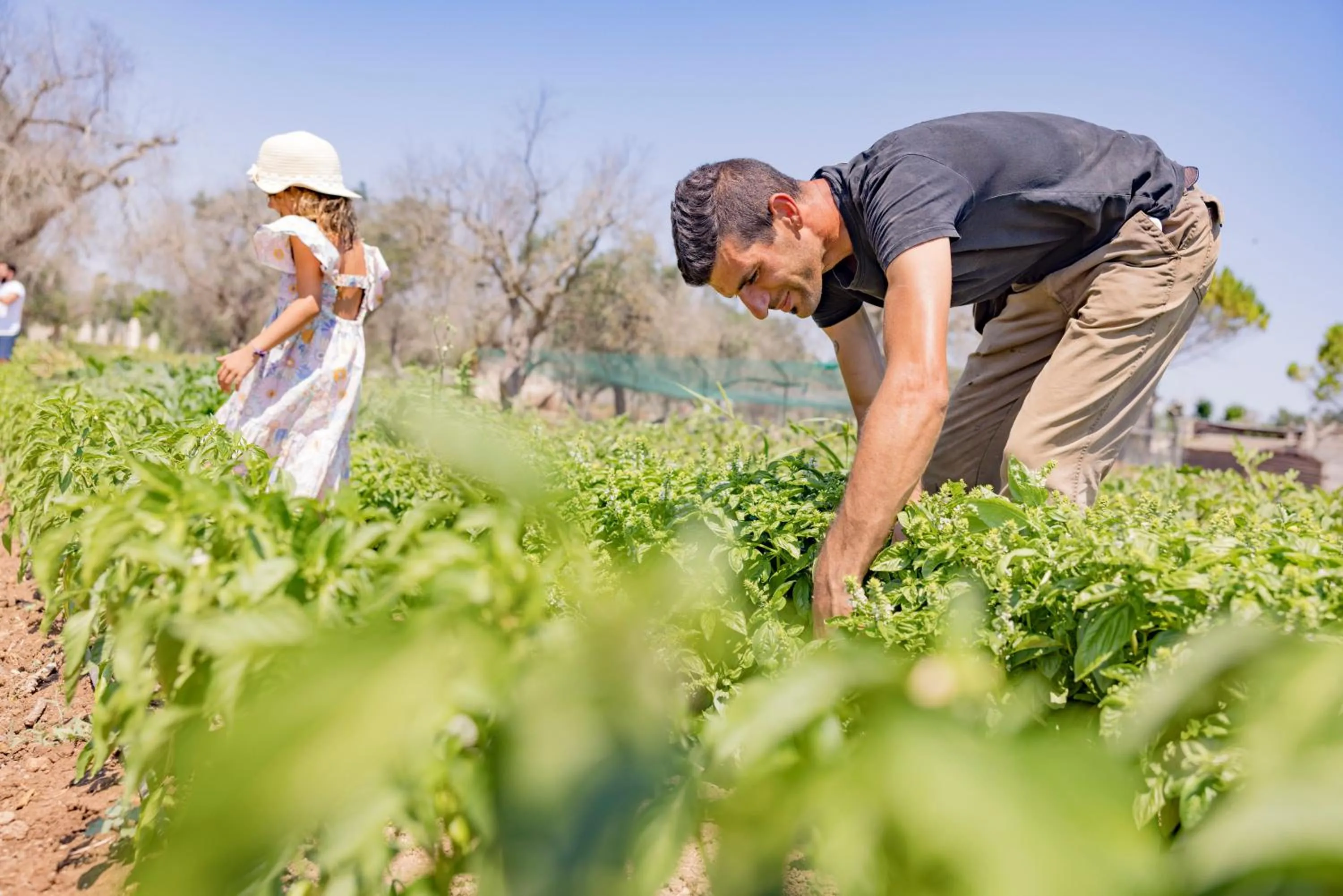 Natural landscape in Agriturismo Le Tagliate