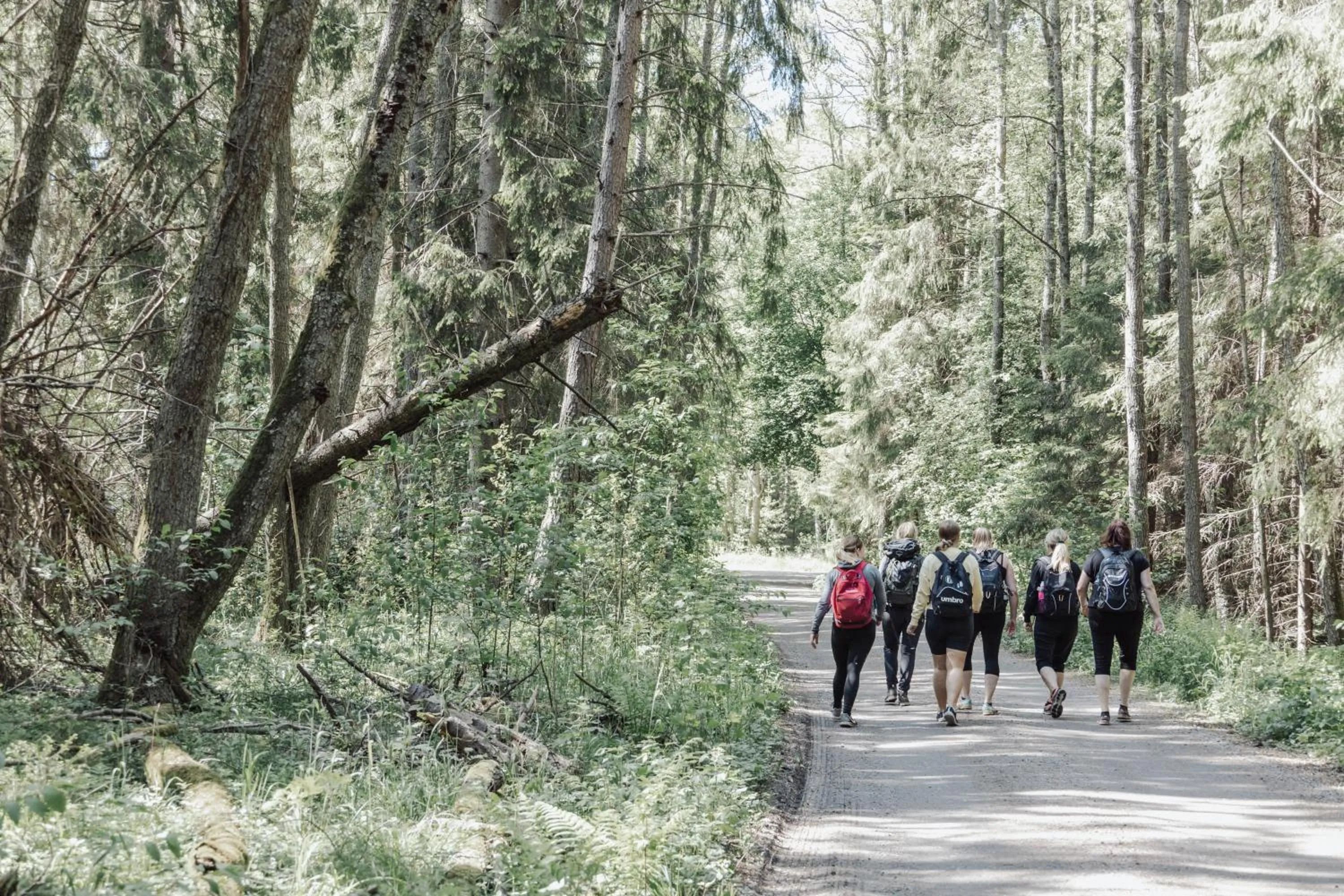 Activities in Blommenhof Hotel