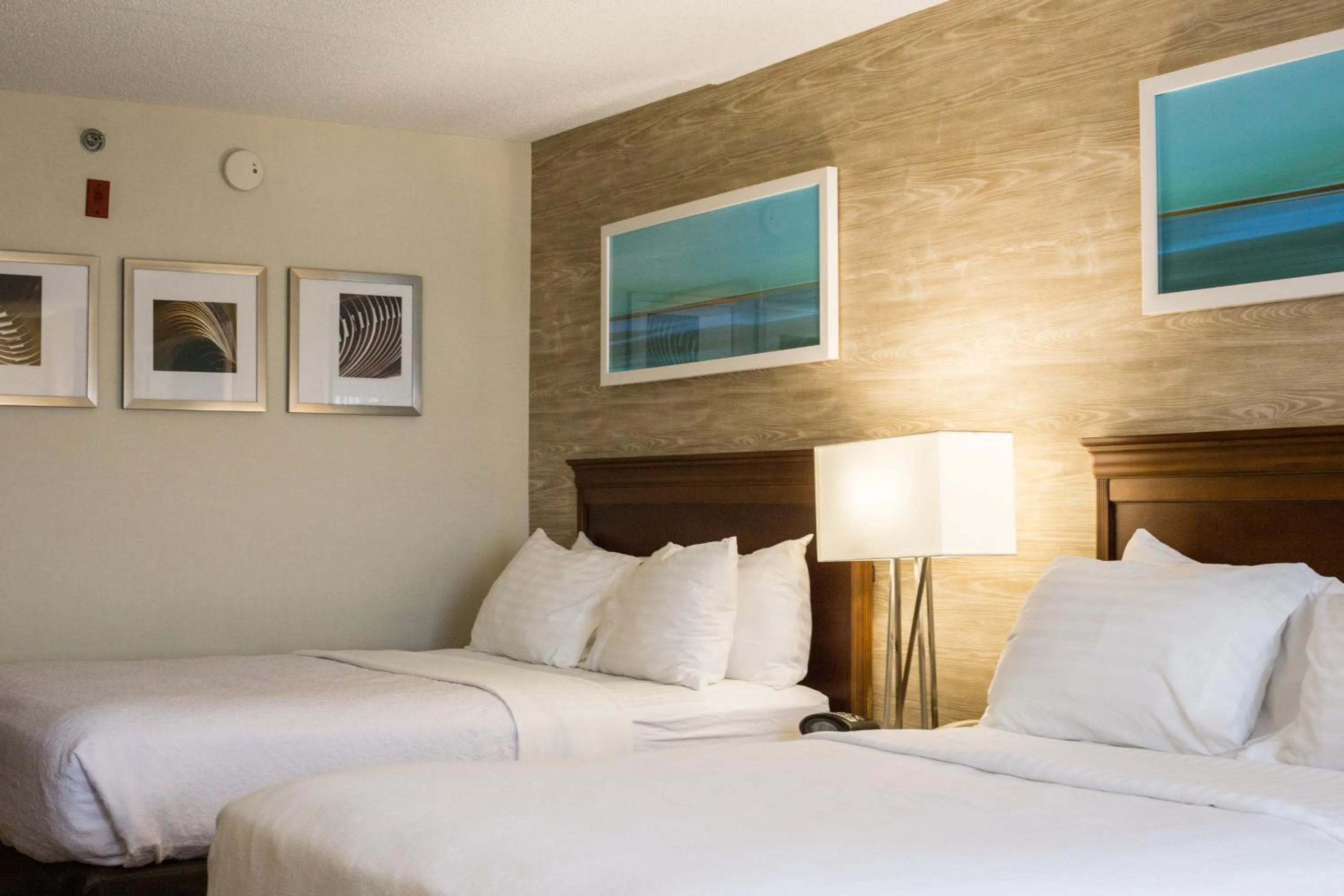 Photo of the whole room, Bed in Holiday Inn & Suites Bolingbrook by IHG