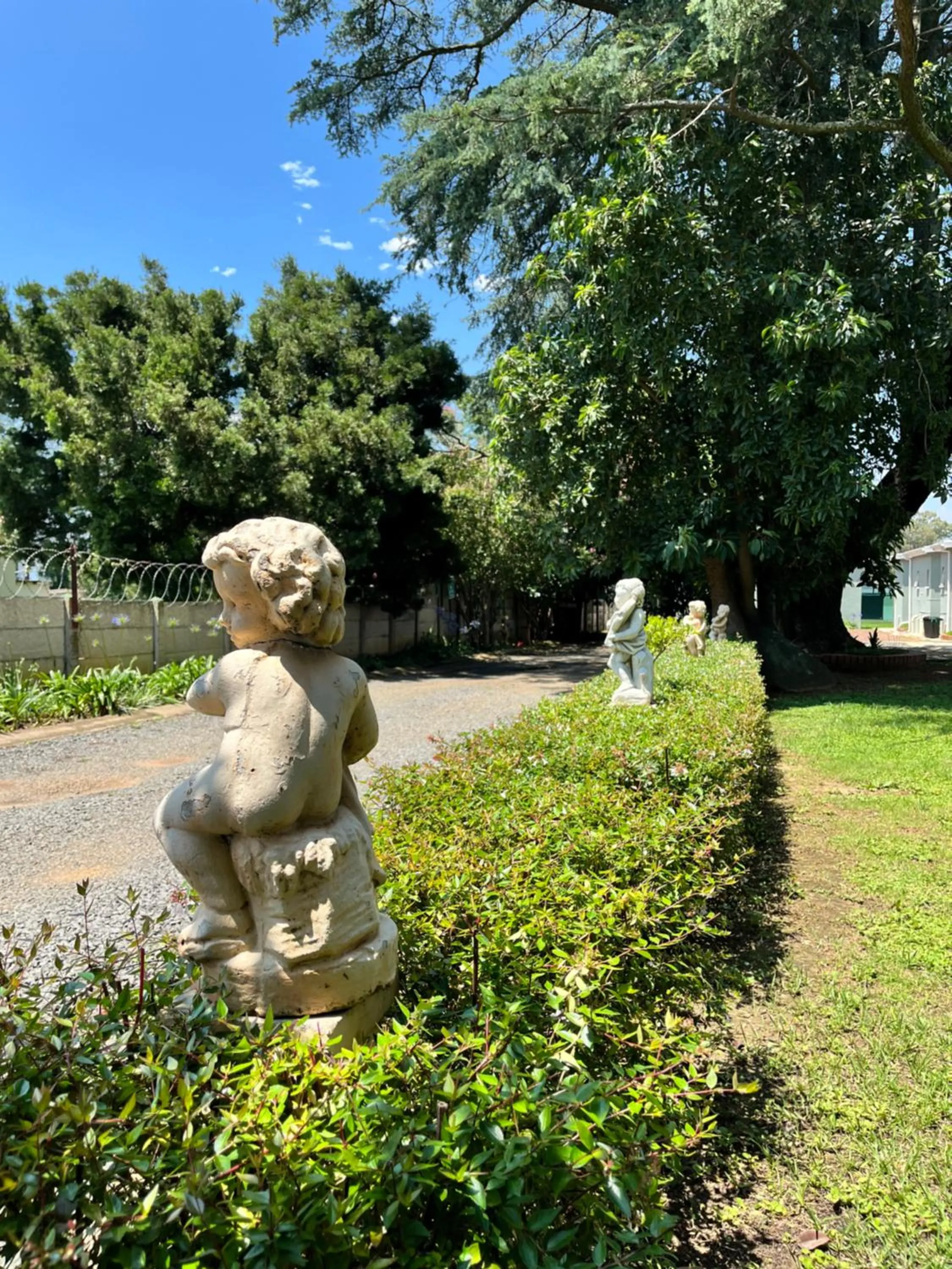 Garden in khaya4u Guesthouse