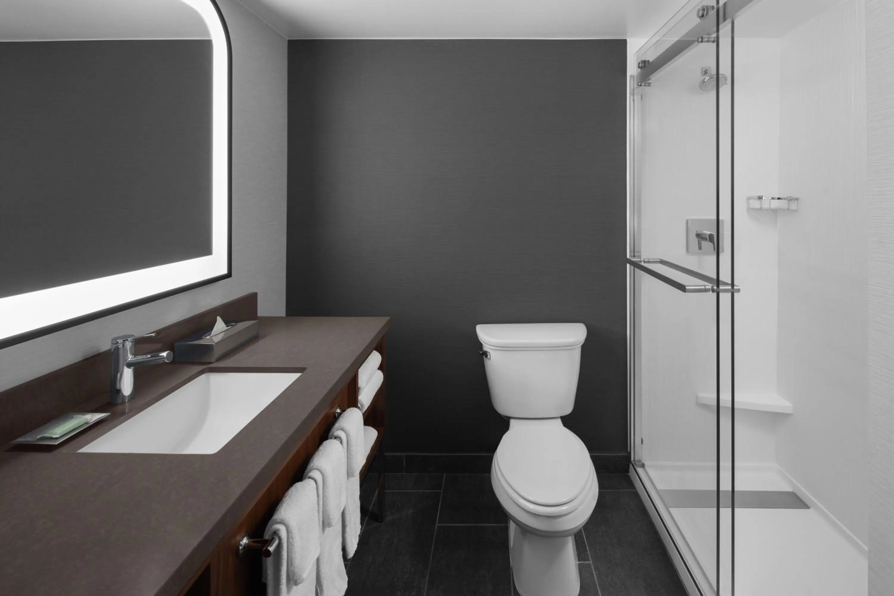 Bathroom in Wyndham Pittsburgh University Center