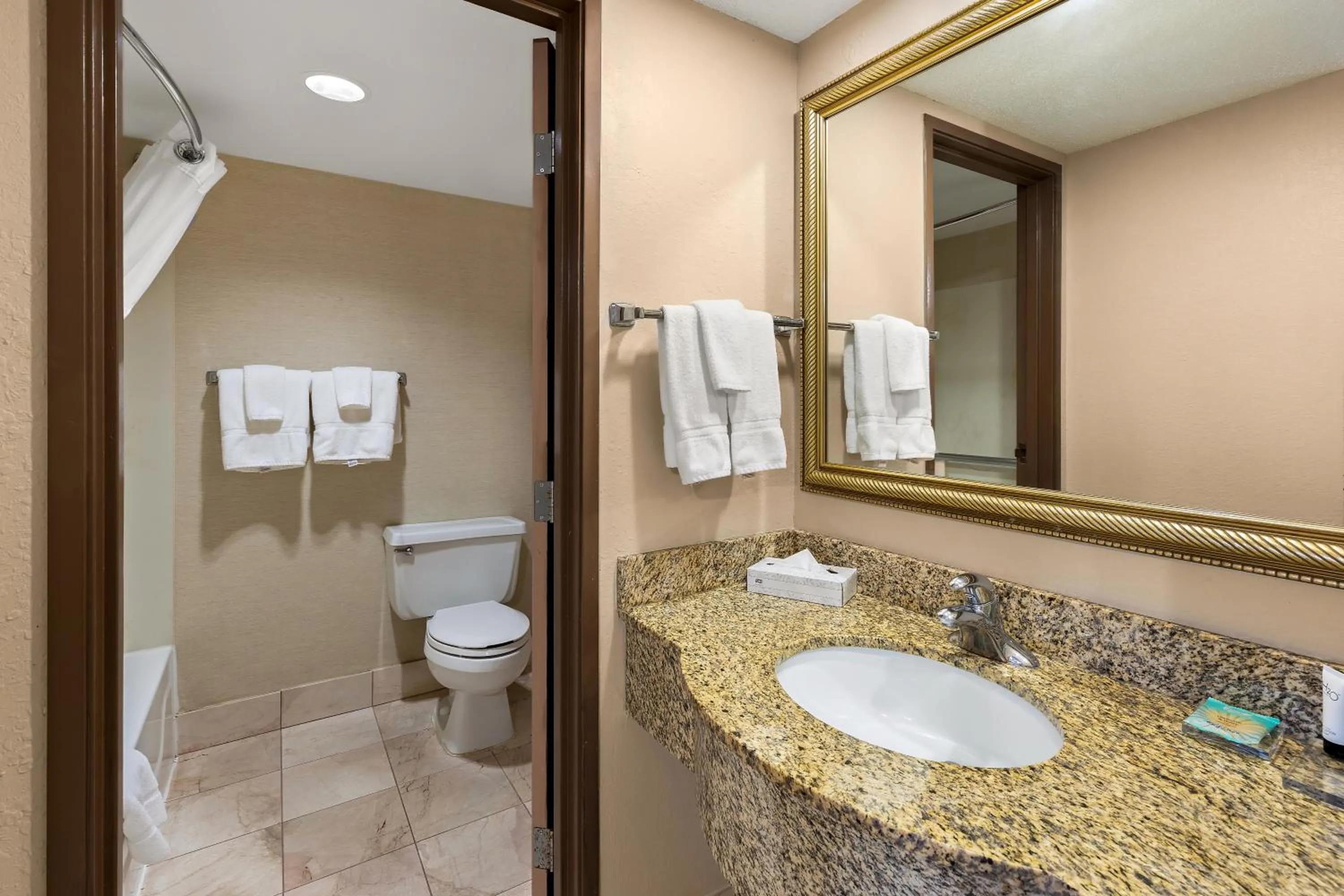 Bathroom in Hotel RL Cleveland Airport West