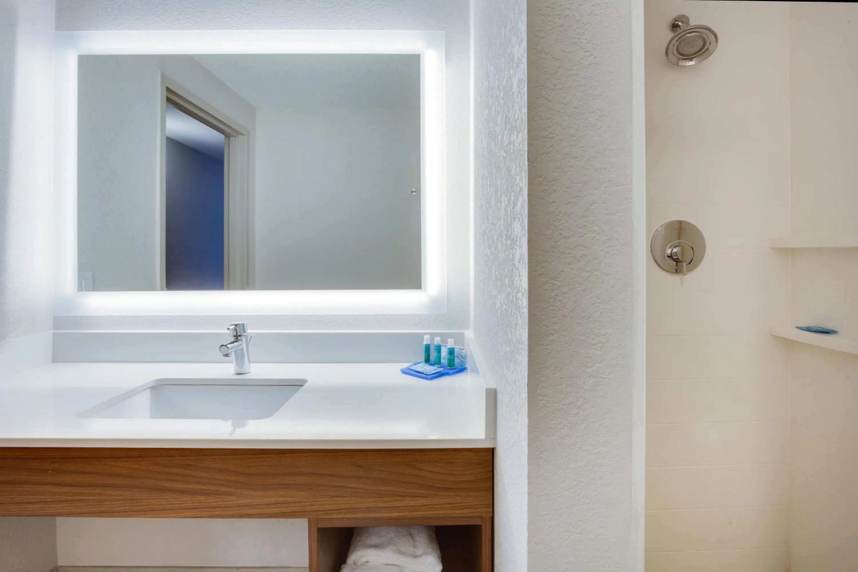 Bathroom in Holiday Inn Express Hotel & Suites Tampa-Fairgrounds-Casino by IHG