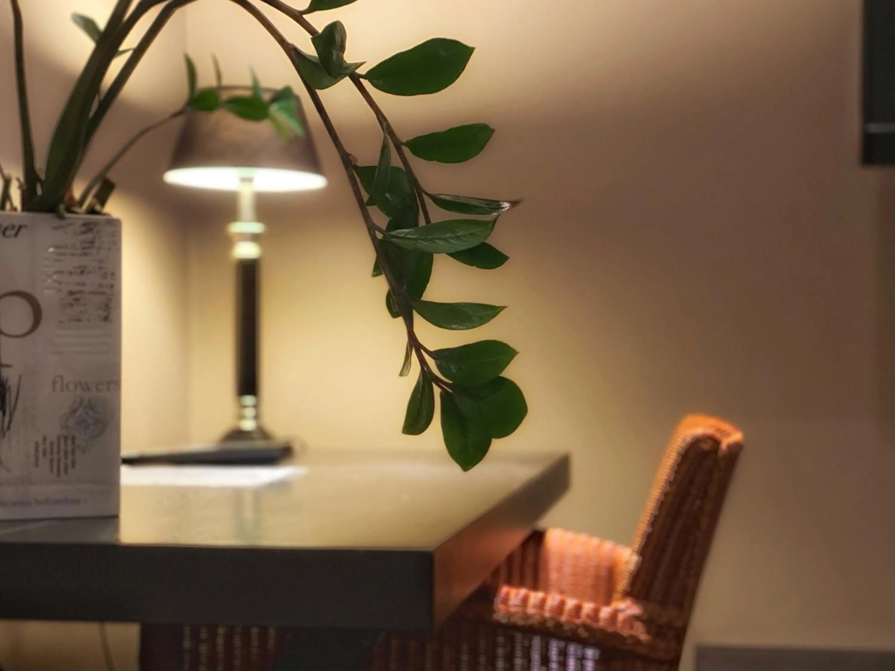 Seating area in Hotel Villan