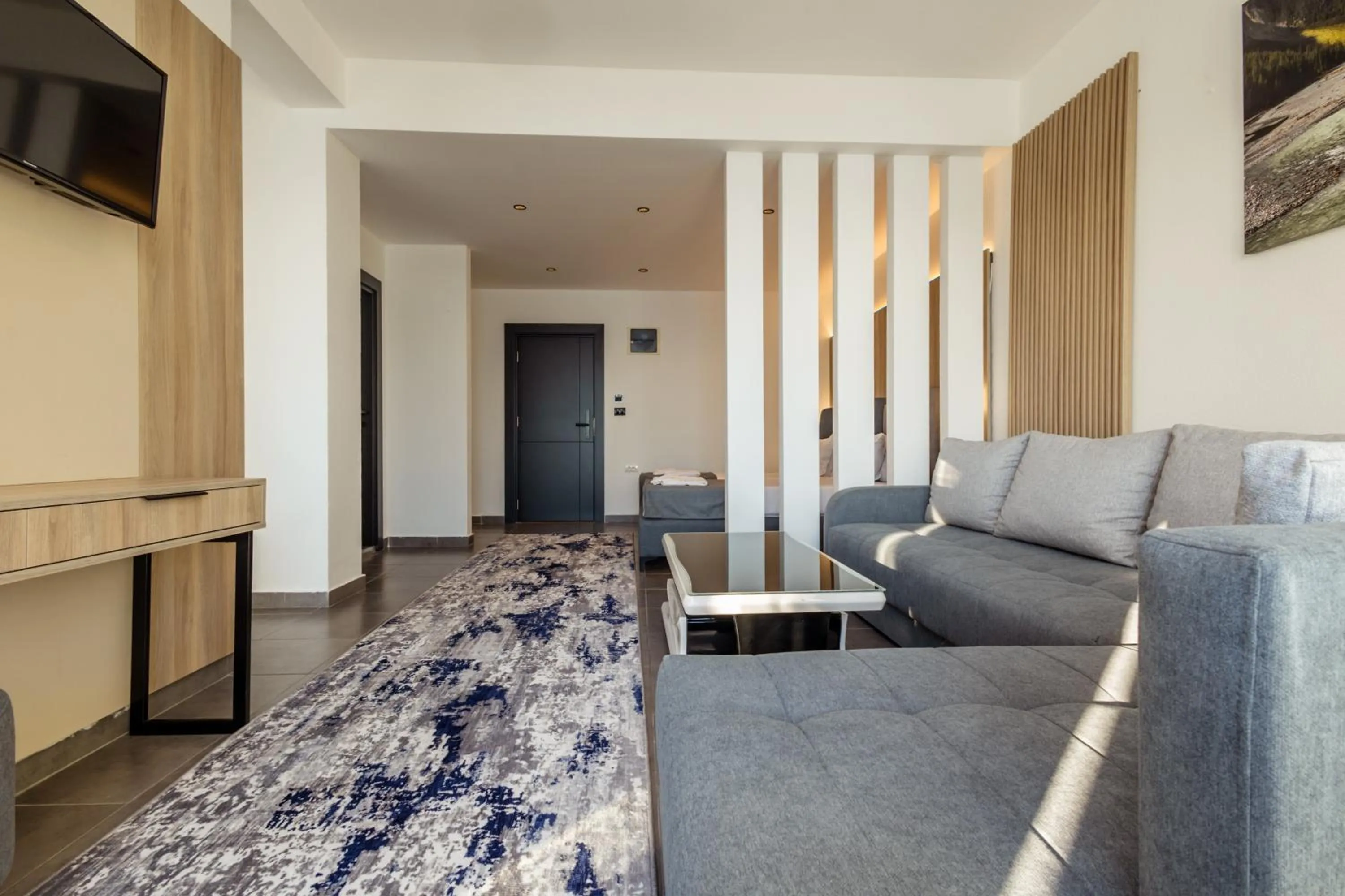 TV and multimedia in Continental Hotel