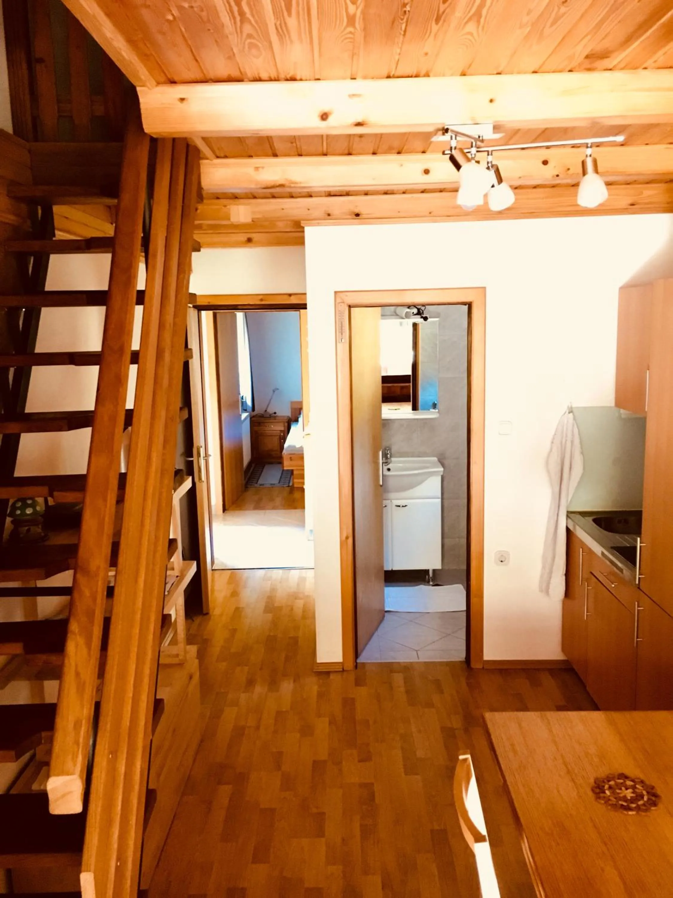 Apartment Tisa
