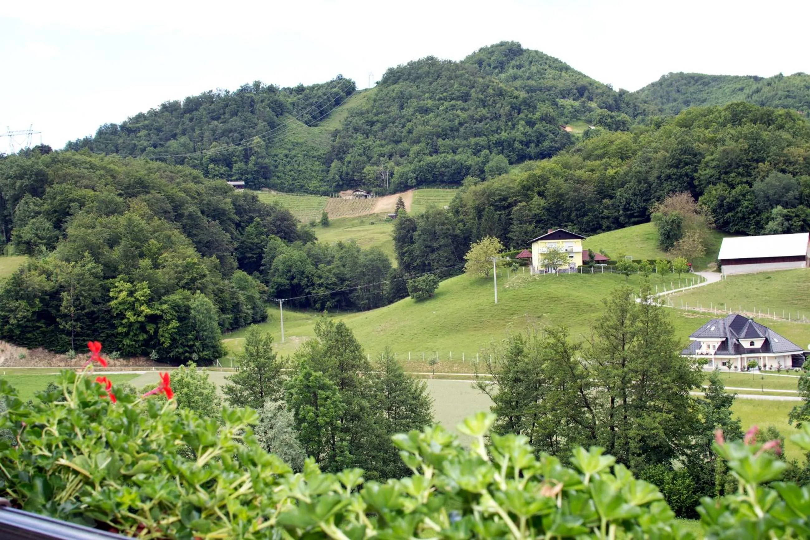 Natural landscape in Tourist farm Mraz