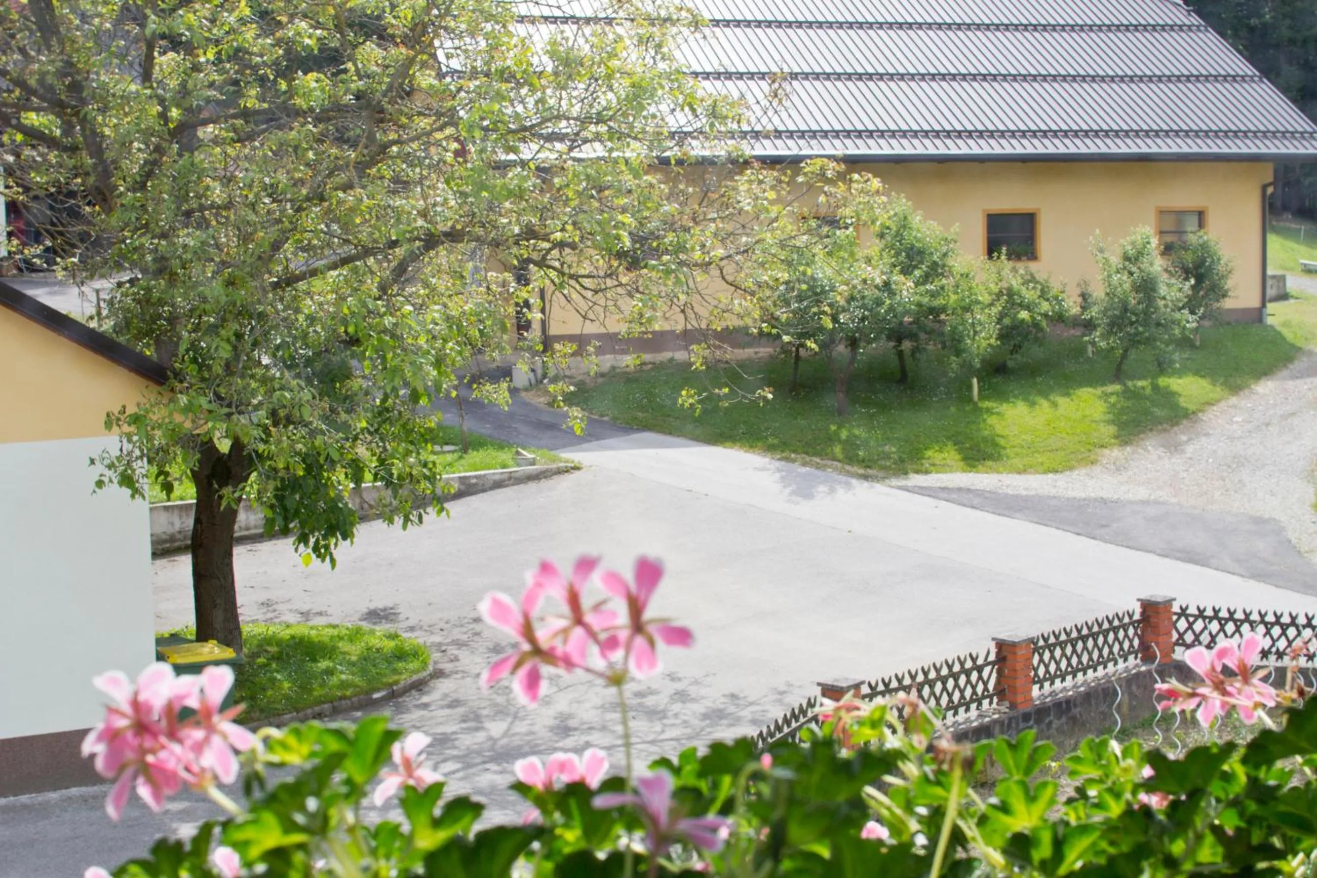 Garden view in Tourist farm Mraz