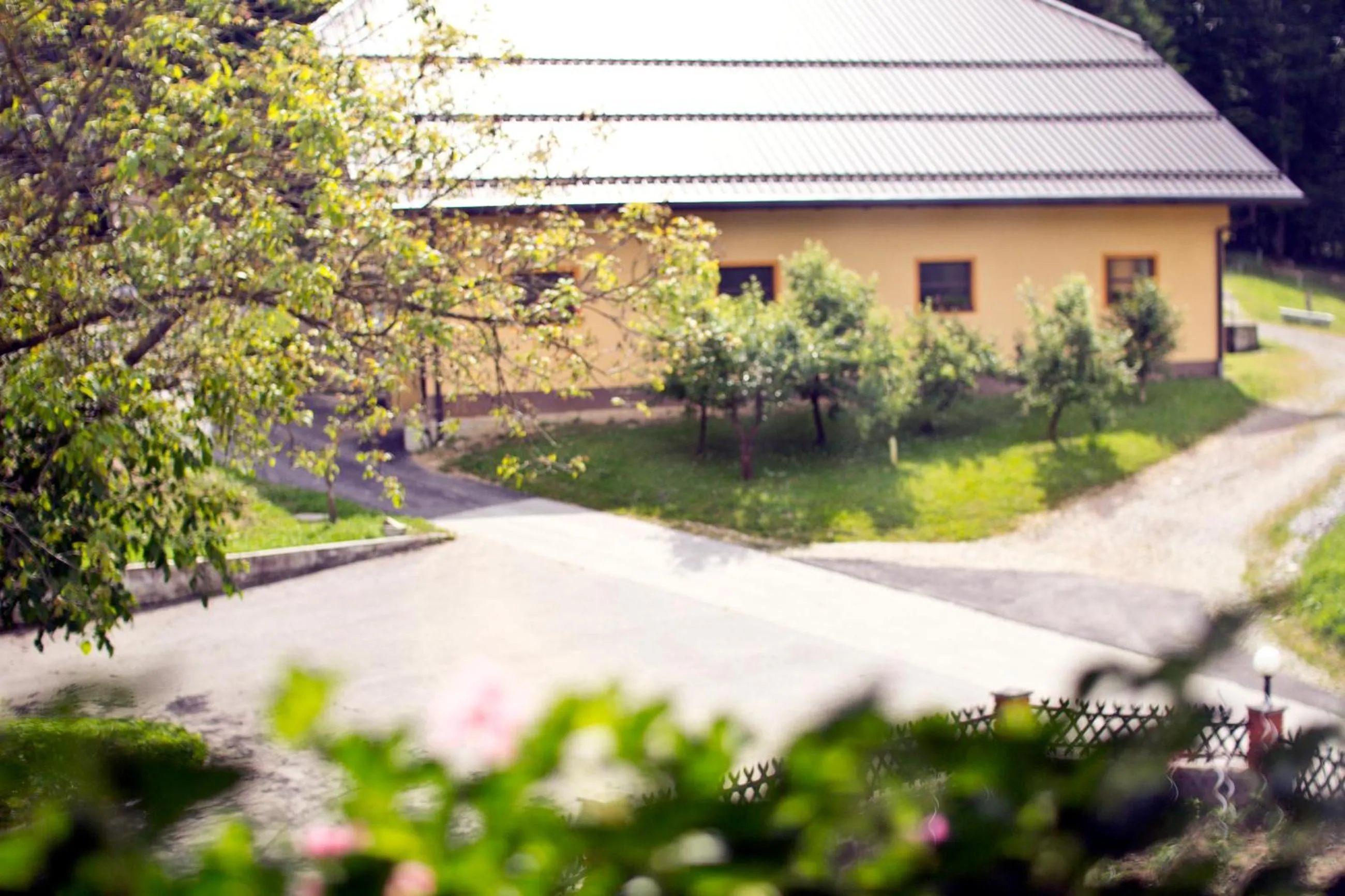 Garden view in Tourist farm Mraz