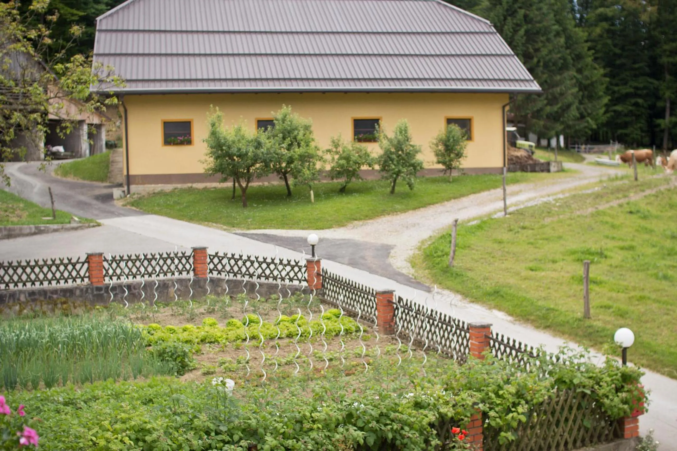 Garden view in Tourist farm Mraz