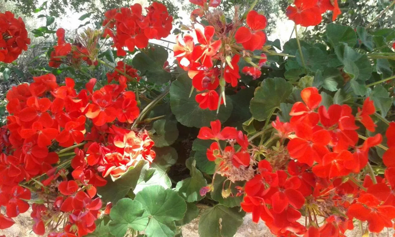 Nearby landmark in Hotel Marsala