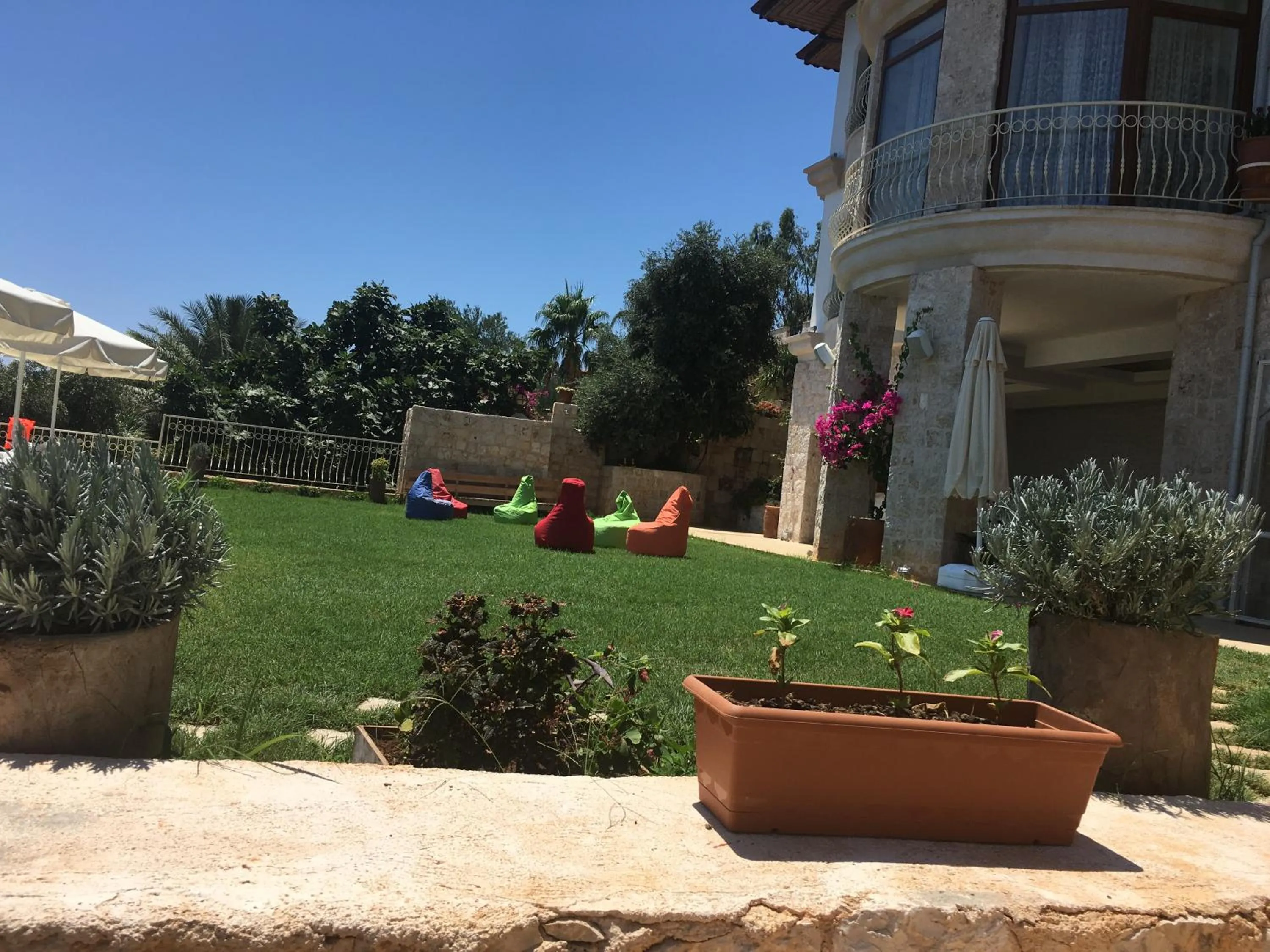 Garden in Hotel Marsala