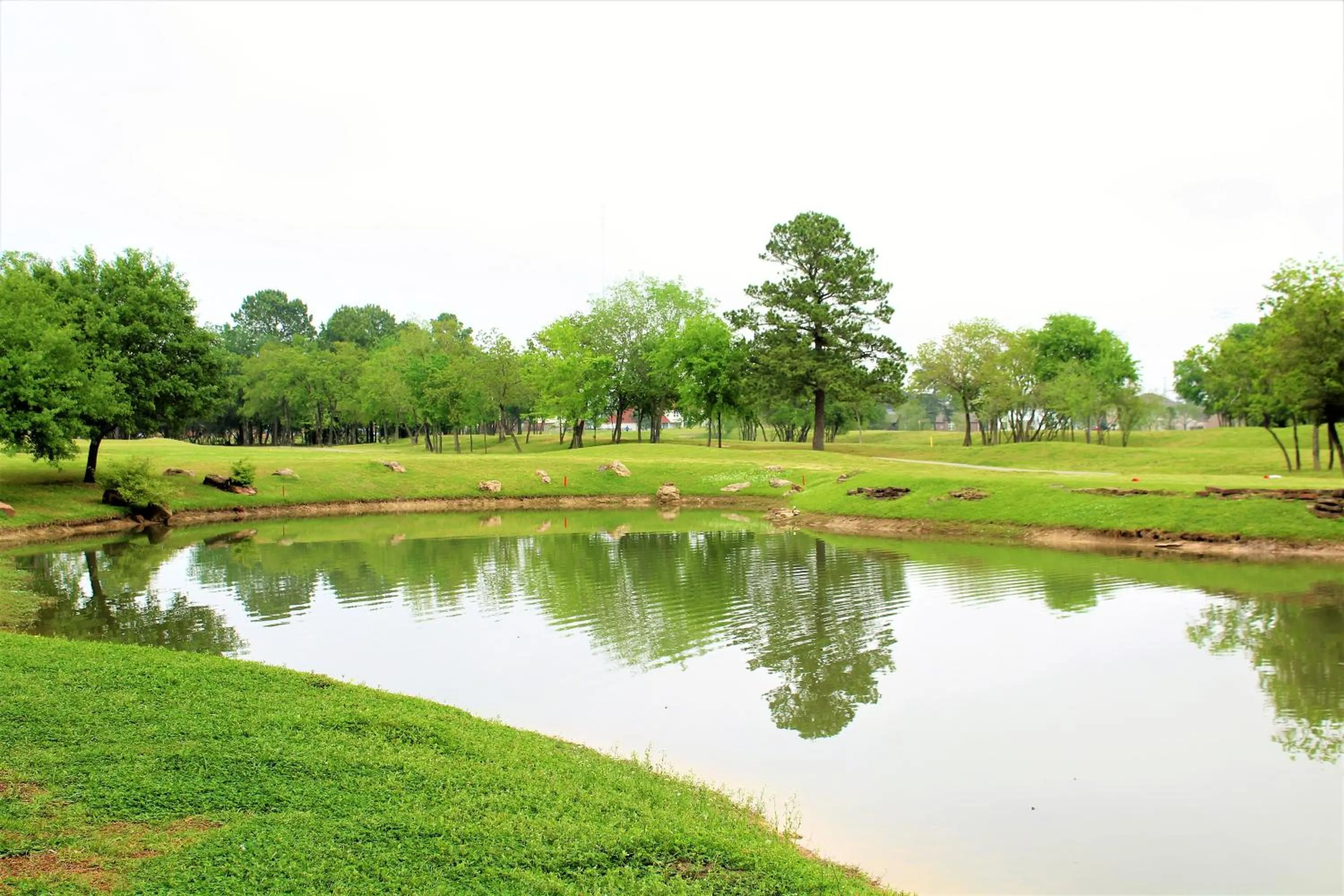 Other in Staybridge Suites Houston - Willowbrook by IHG