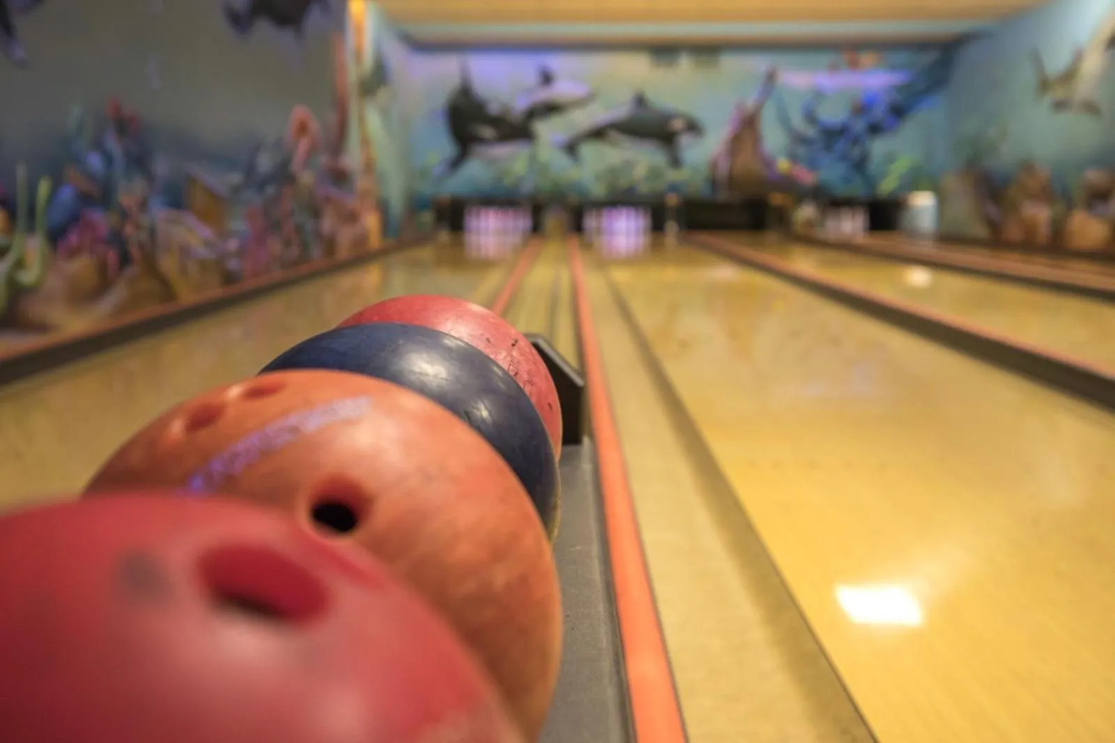 Hotel Schloßblick Trebsen