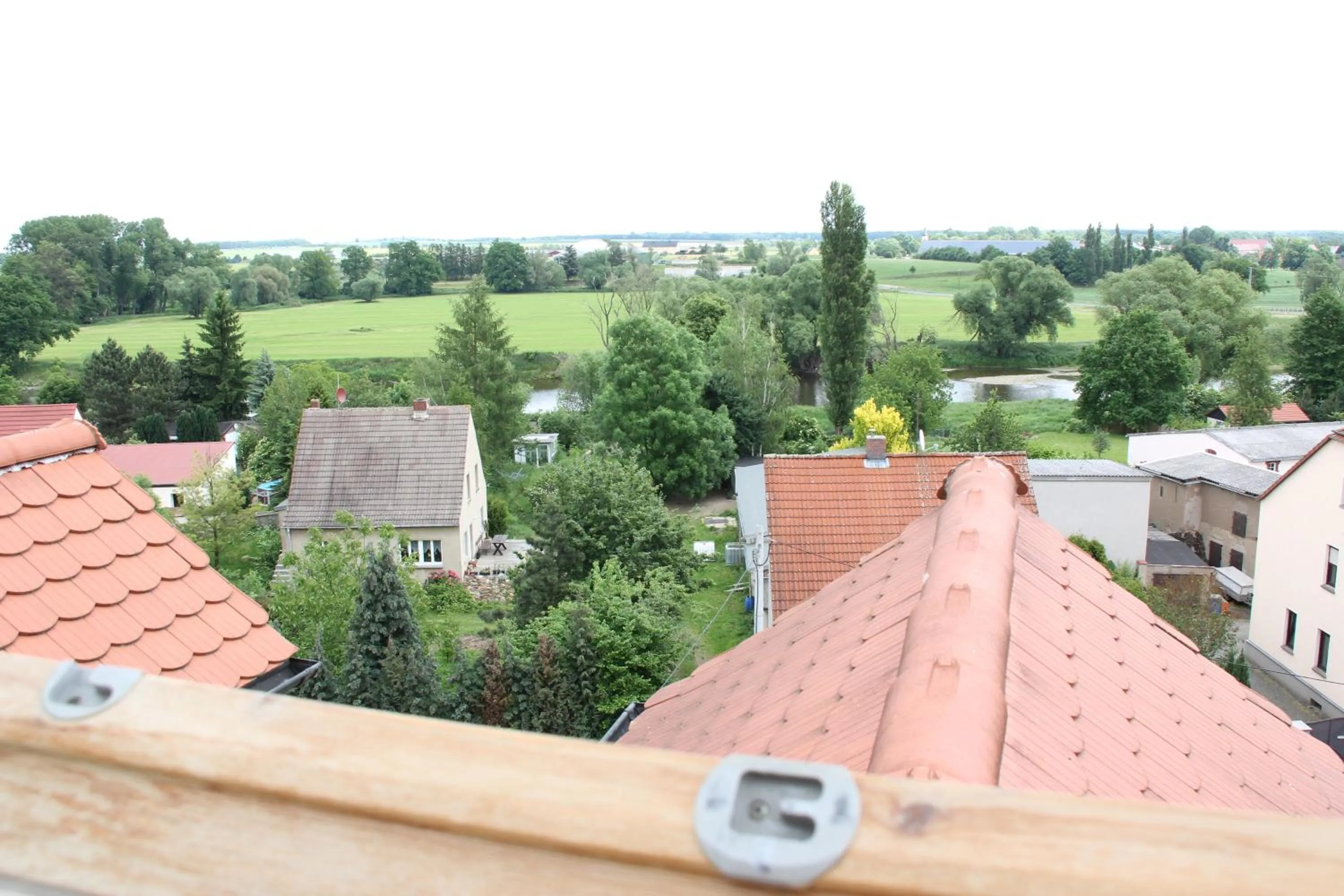 Area and facilities in Hotel Schloßblick Trebsen