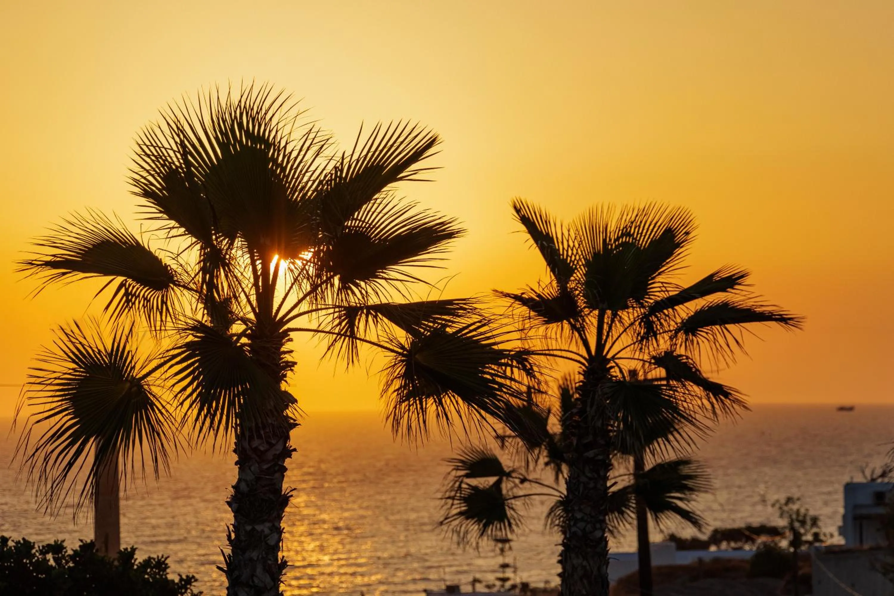 Sea view in Desiterra Resort & Spa