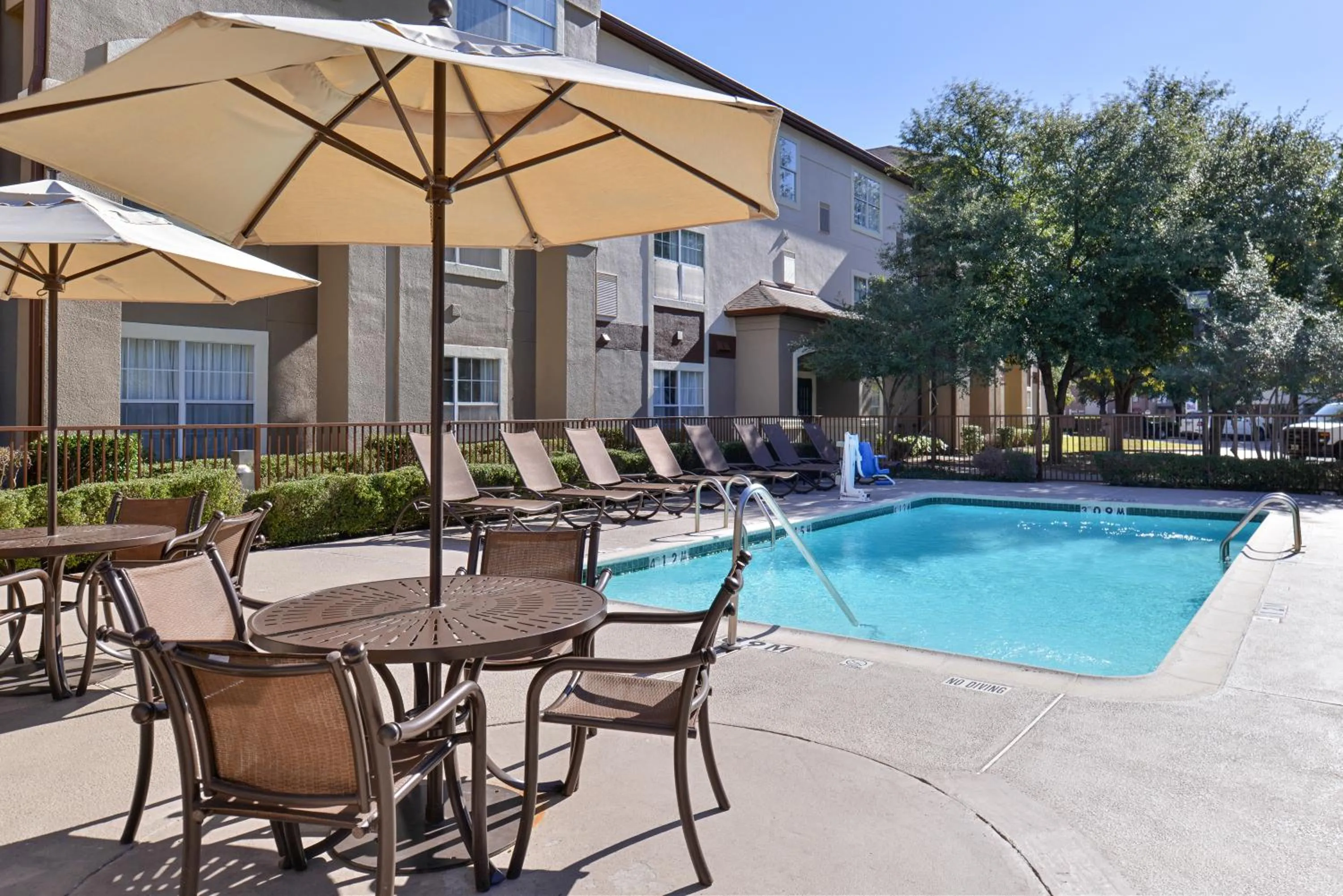 Swimming Pool in TRELLIS North Dallas