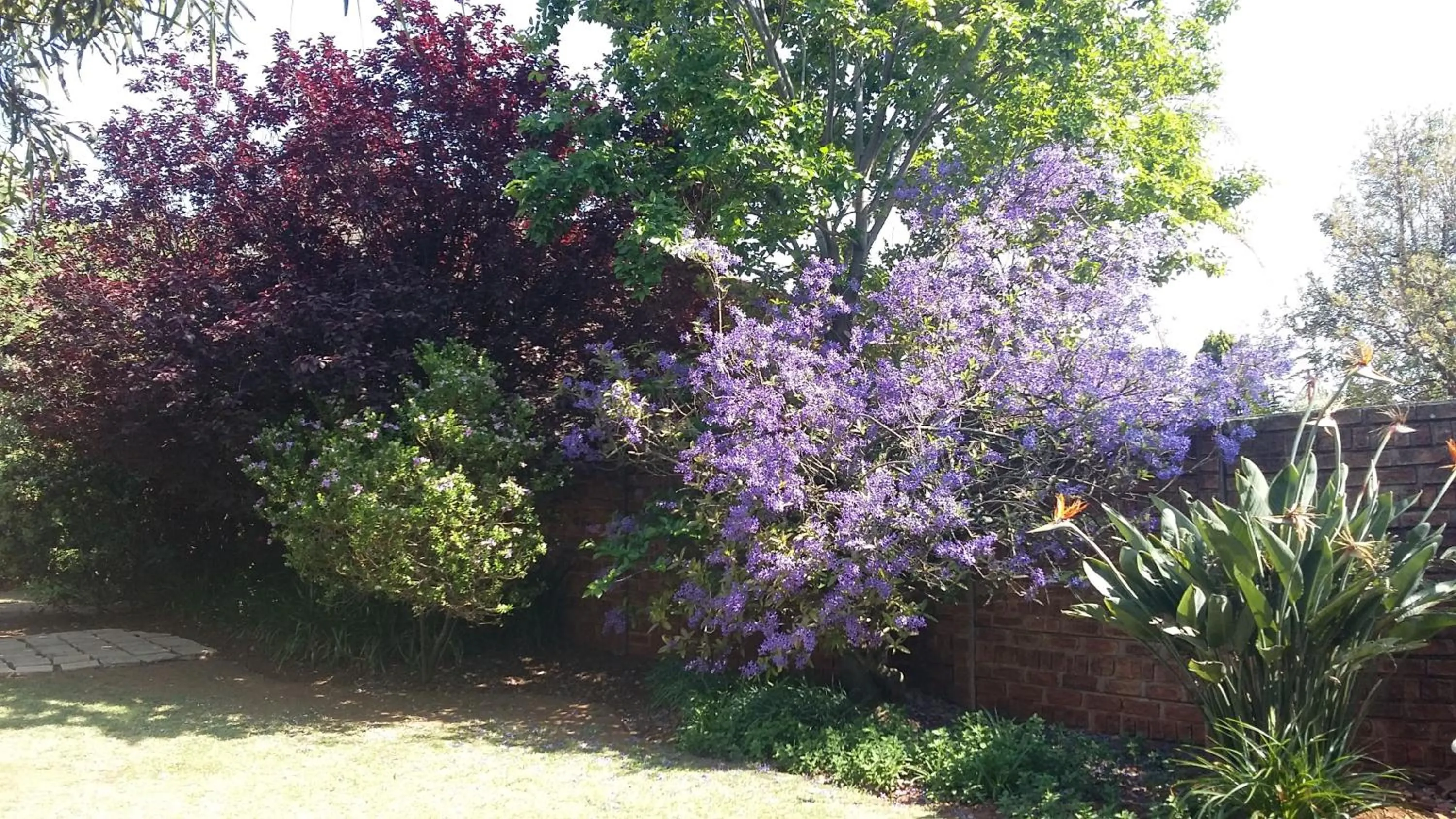 Spring in At The View B&B