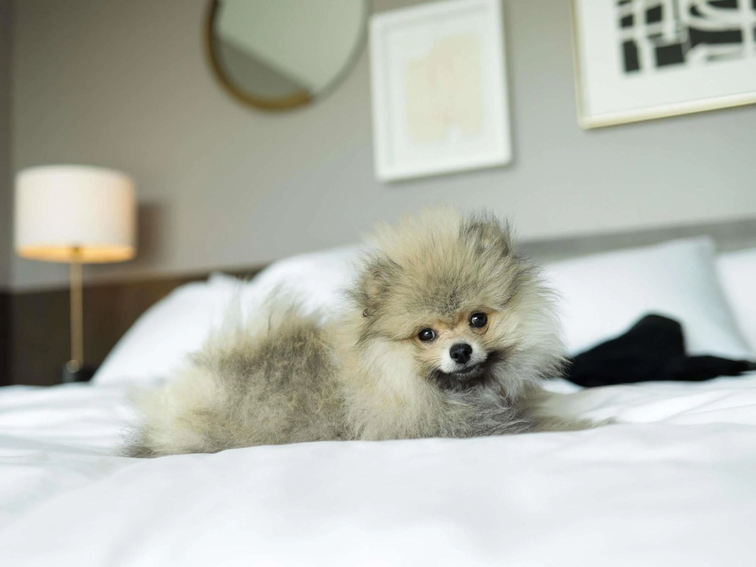 Other in Fairmont Century Plaza Los Angeles at Beverly Hills