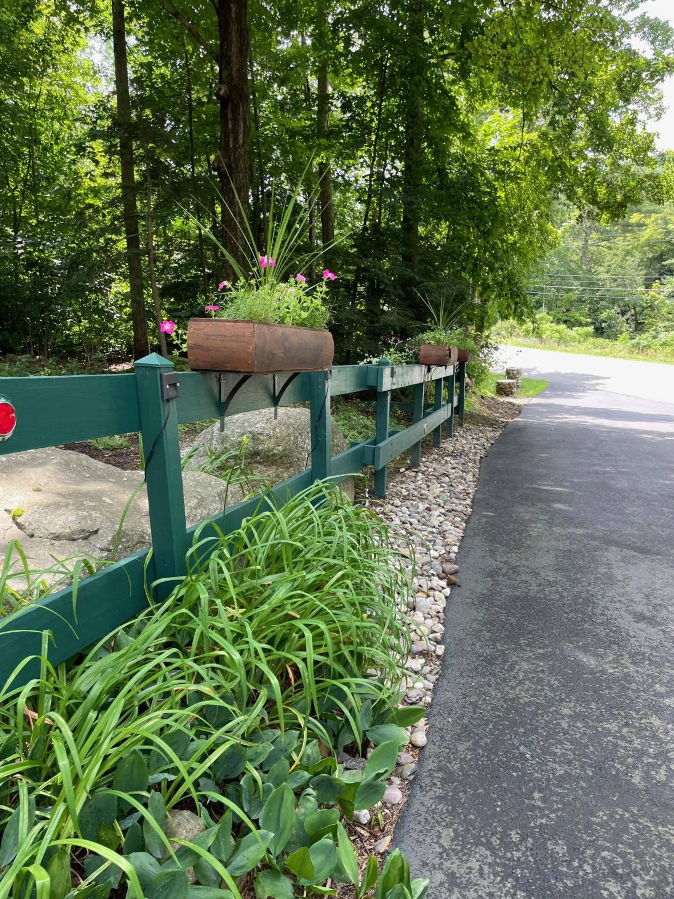 Natural landscape in English Brook Cottages