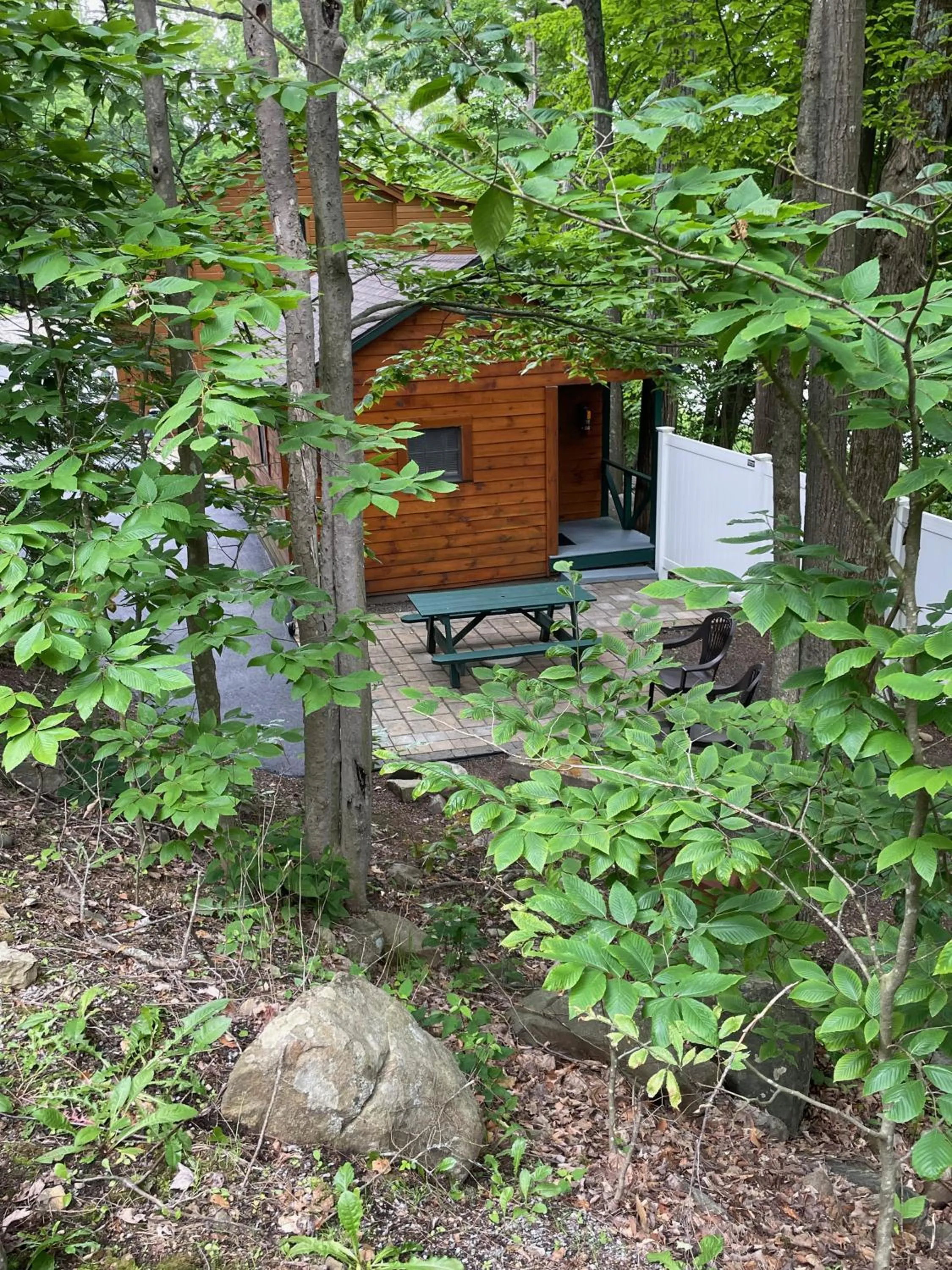 Natural landscape in English Brook Cottages