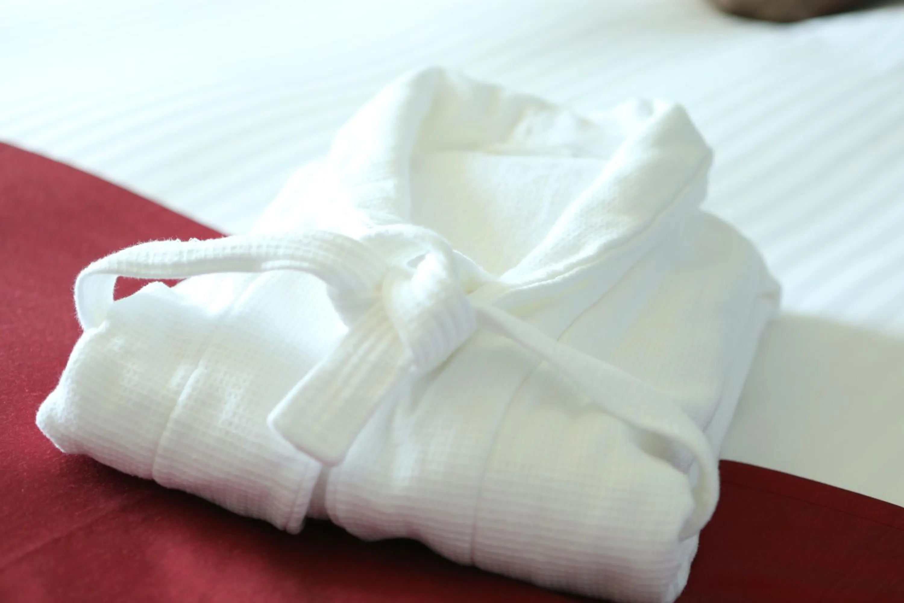 Decorative detail in Hotel La Raison Osaka