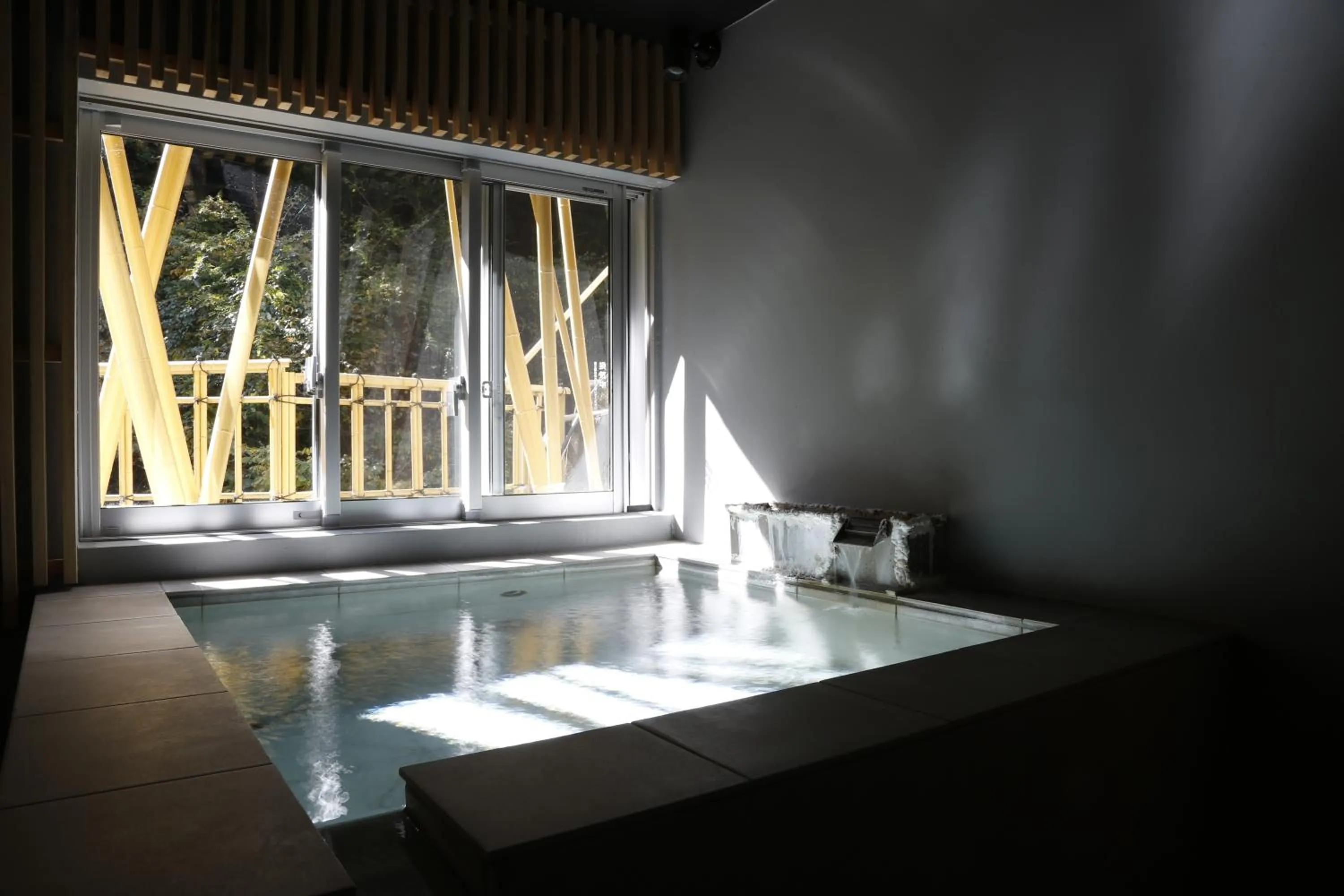 Hot Spring Bath in Hinatamikan