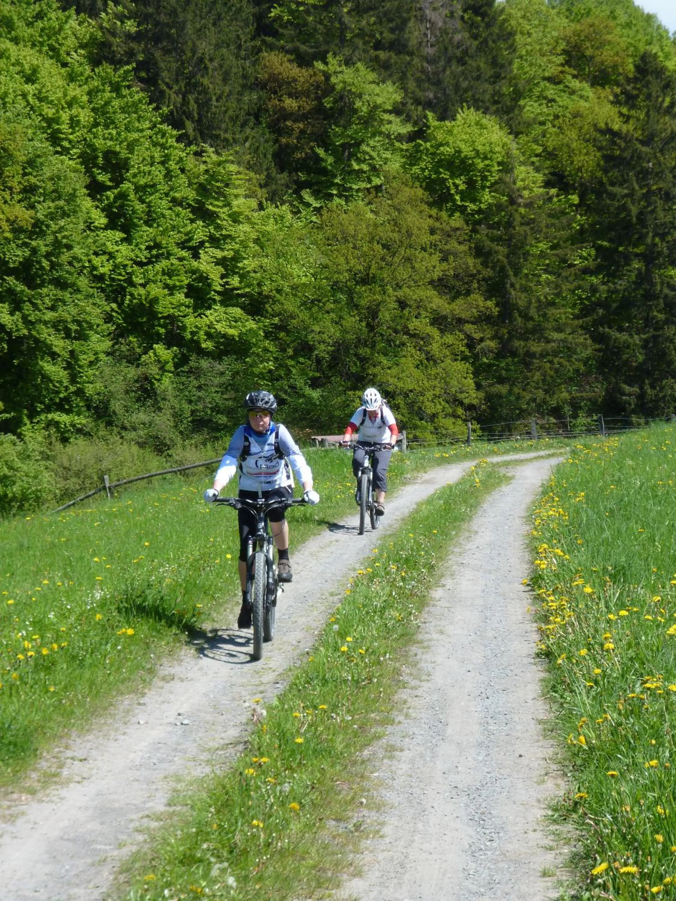 Cycling in Landidyll Landhaus Liesetal