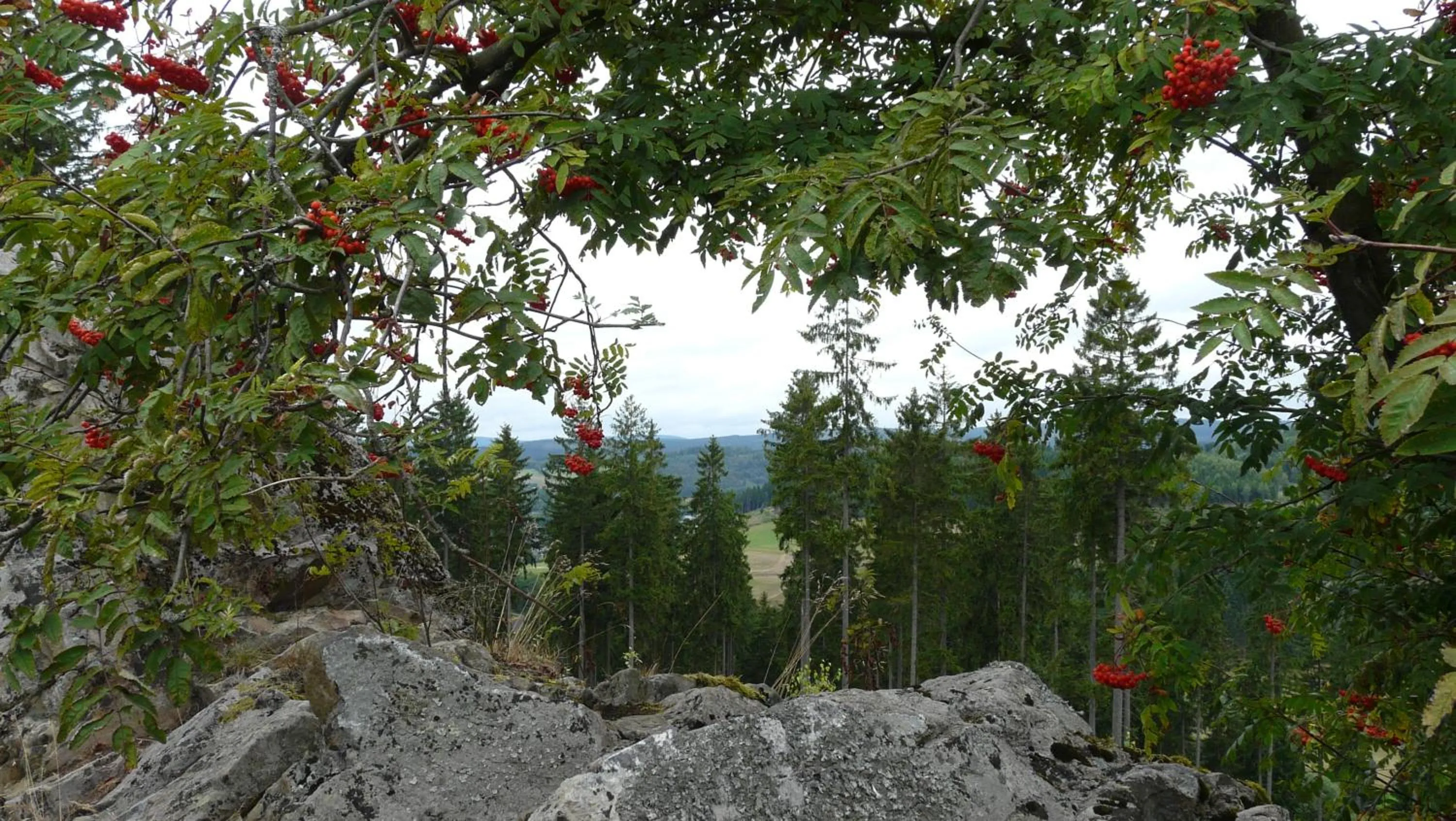 Natural landscape in Landidyll Landhaus Liesetal