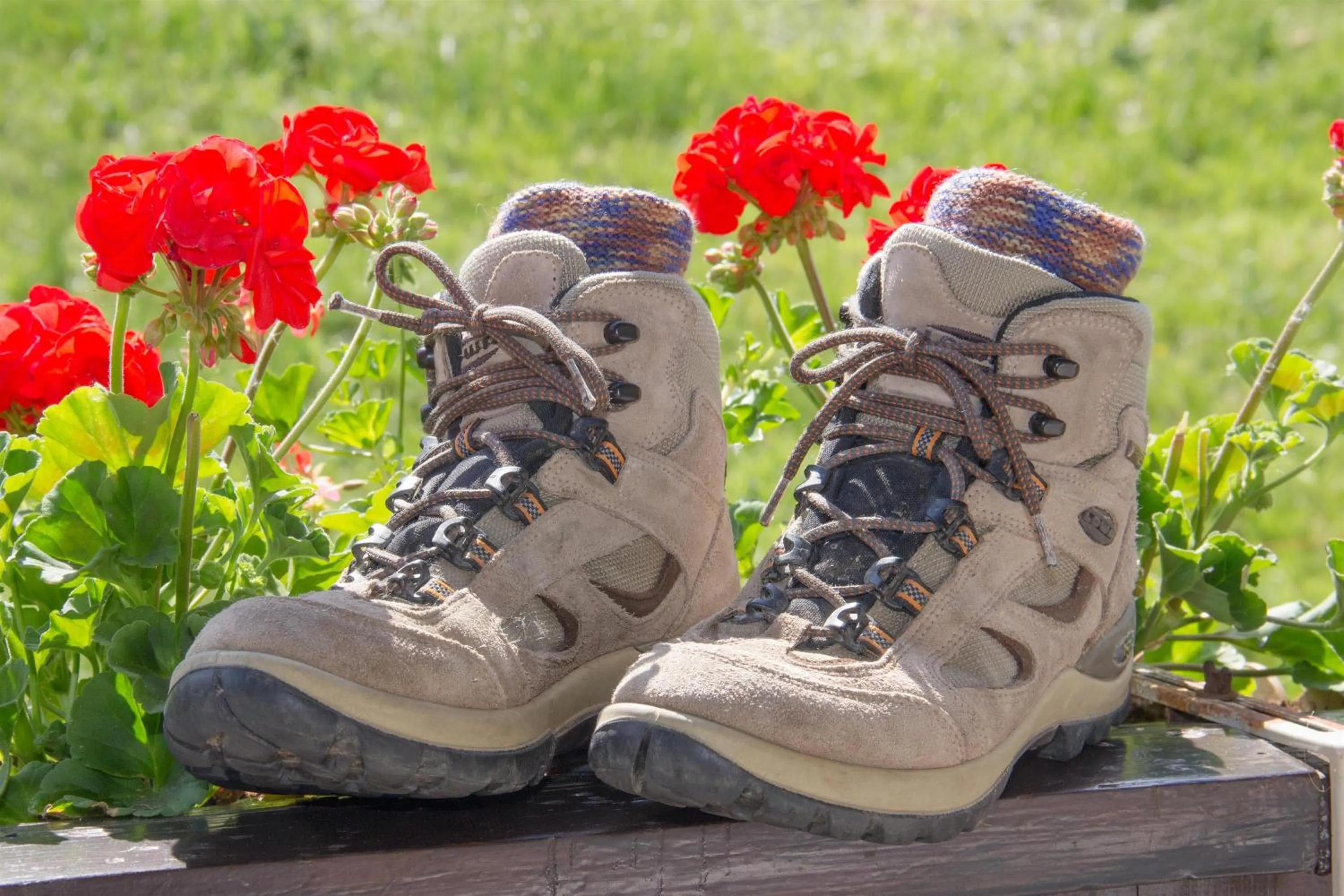 Garden view in Landidyll Landhaus Liesetal