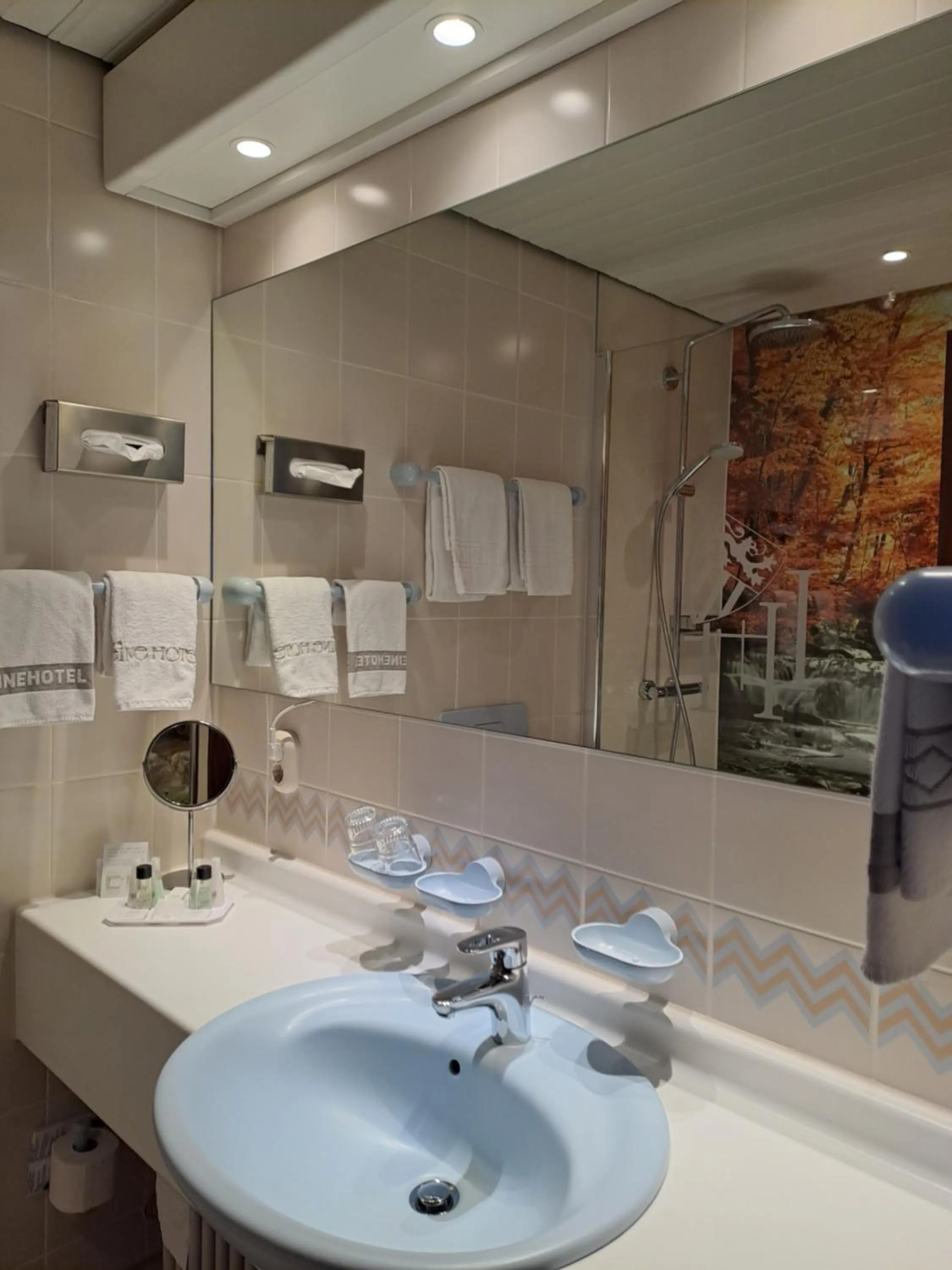 Bathroom in Leine Hotel