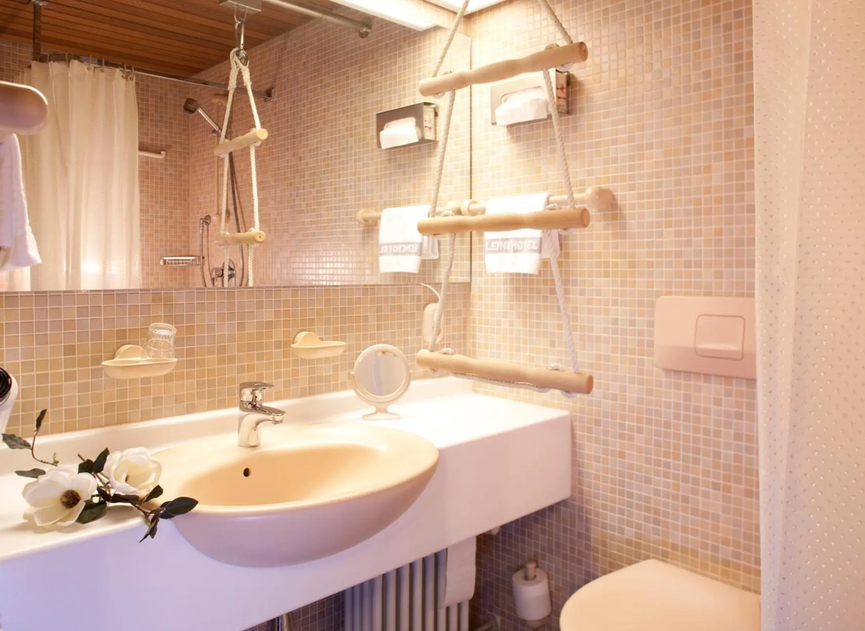 Facility for disabled guests in Leine Hotel