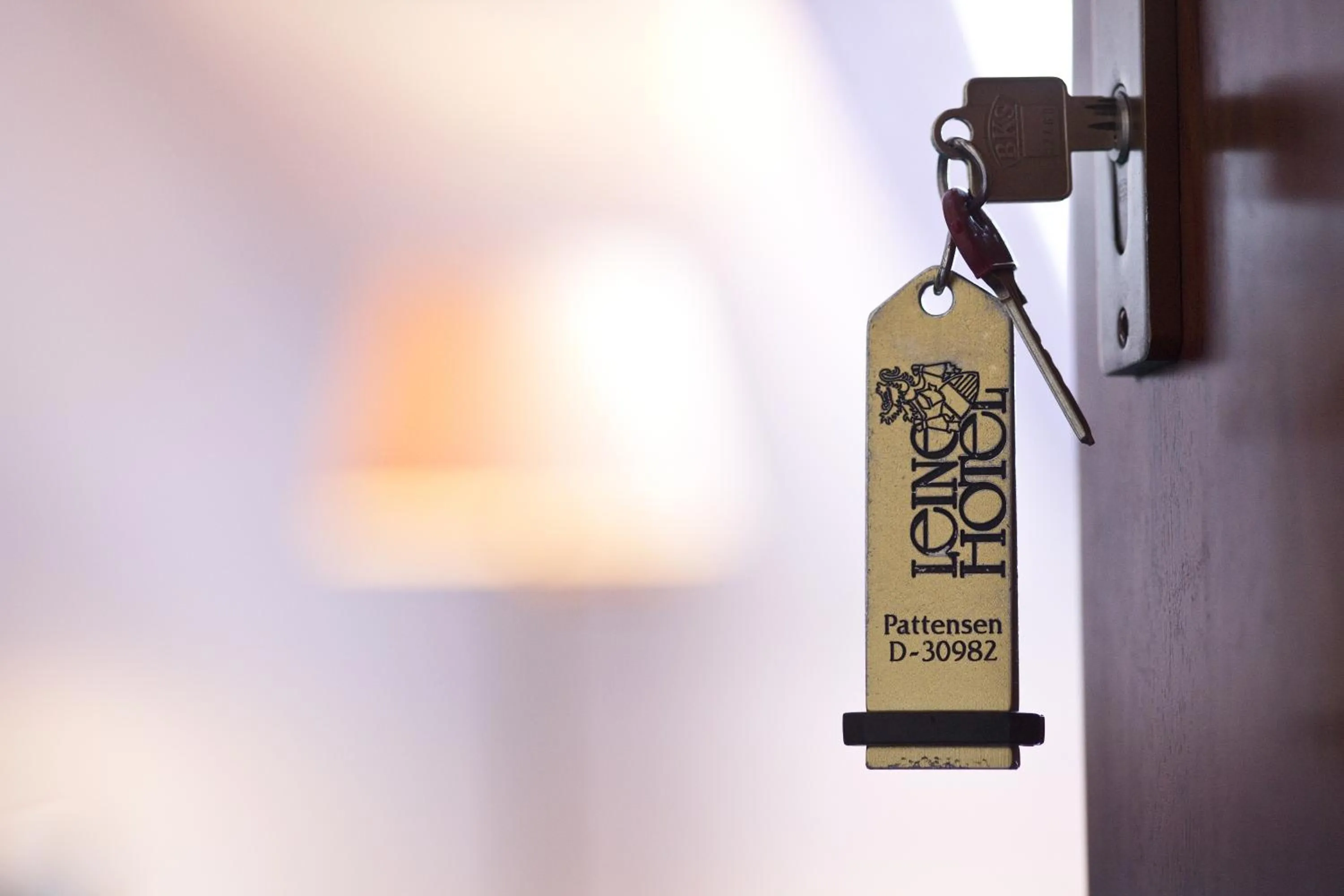 Property logo or sign in Leine Hotel